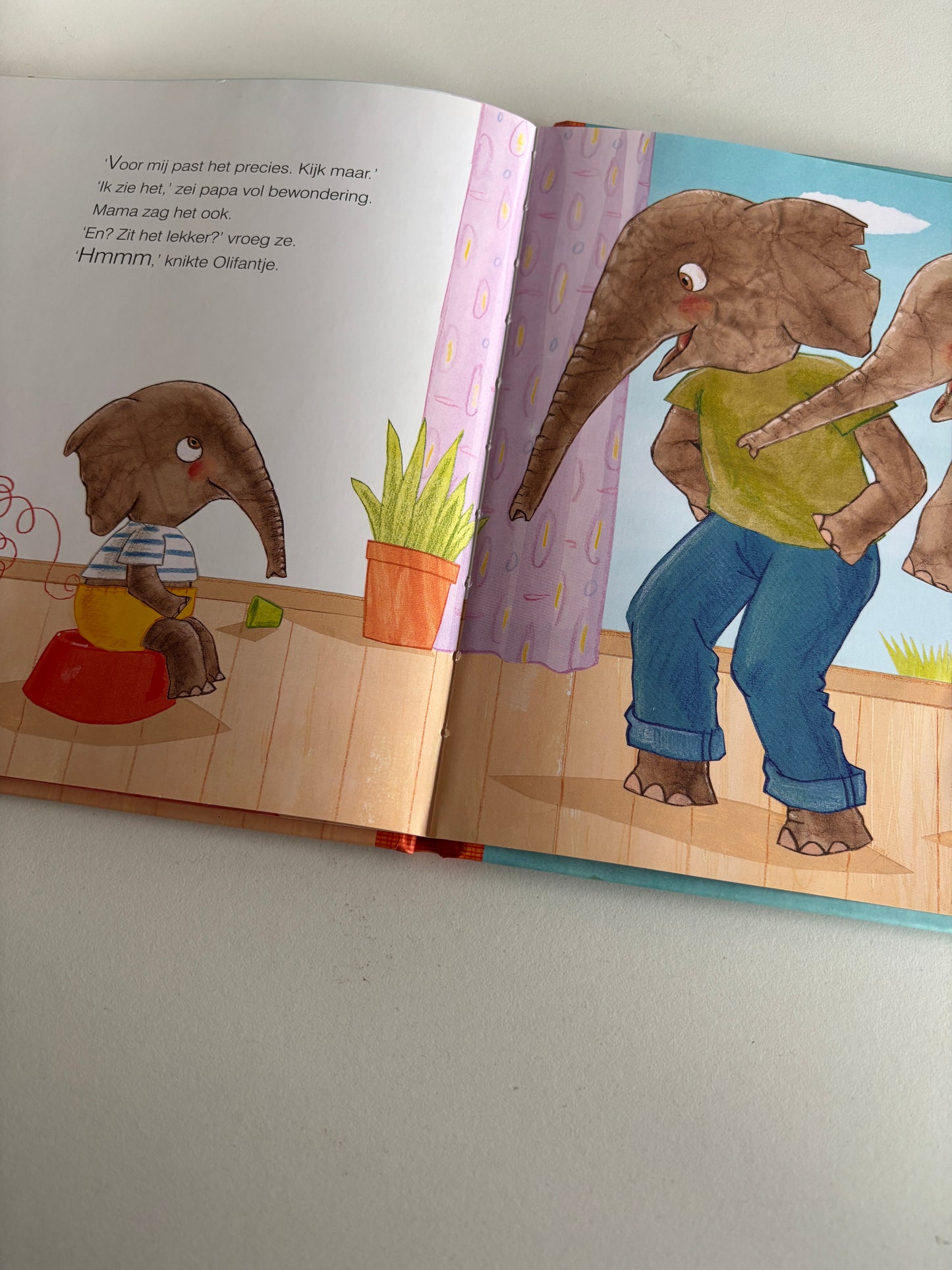 Guido Van Genechten - Een geweldig cadeau