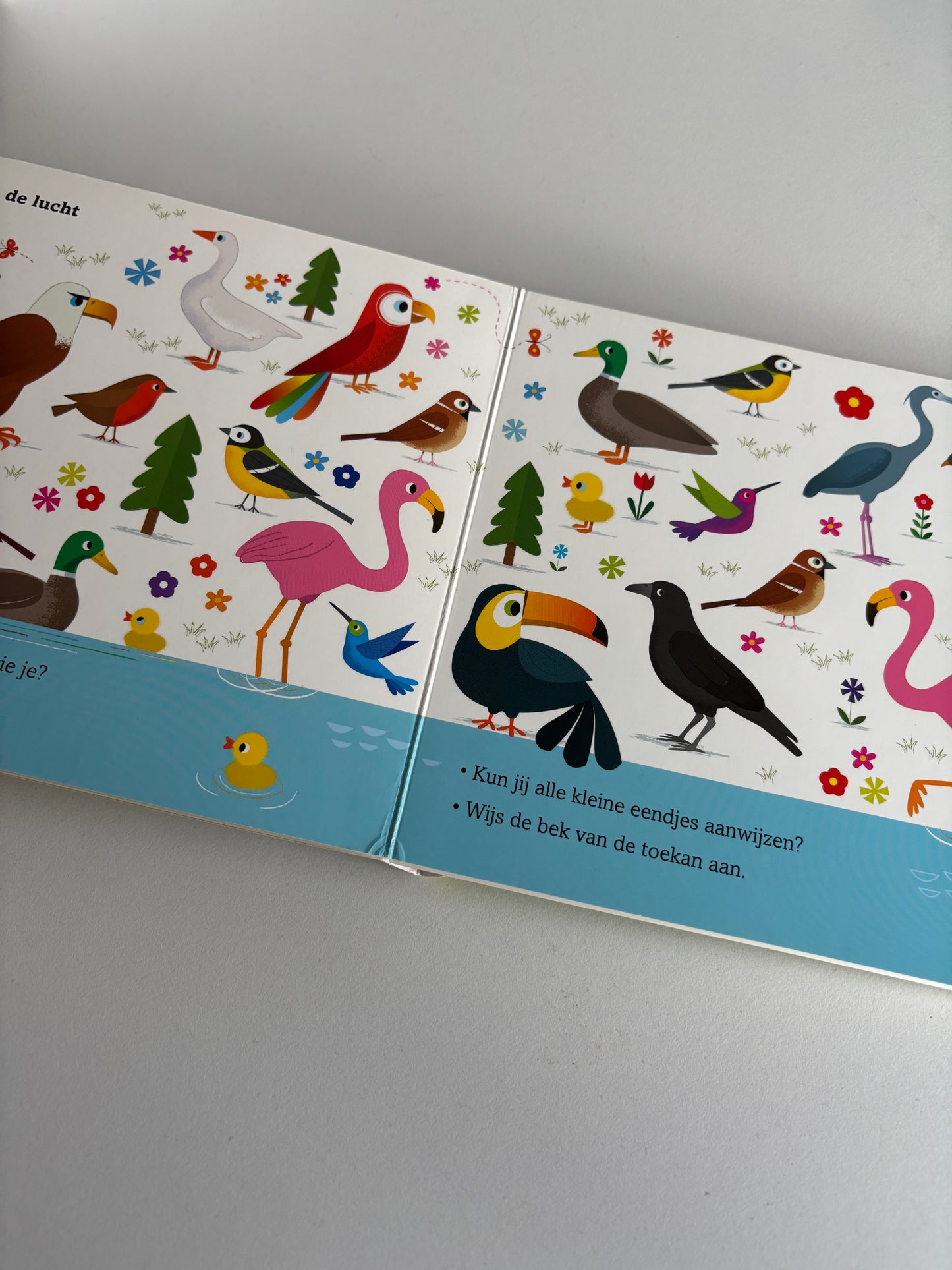 Dieren: zoek en luister