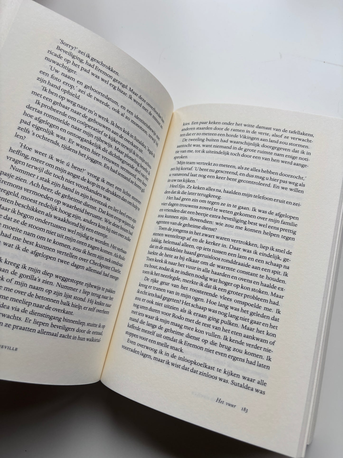 Katherine Neville - Het vuur