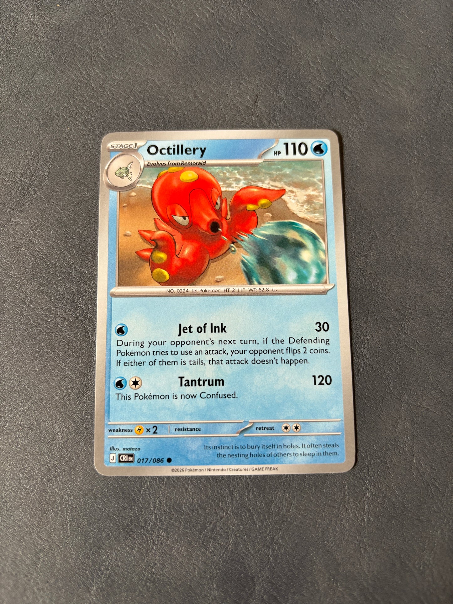 Octillery CRI 017