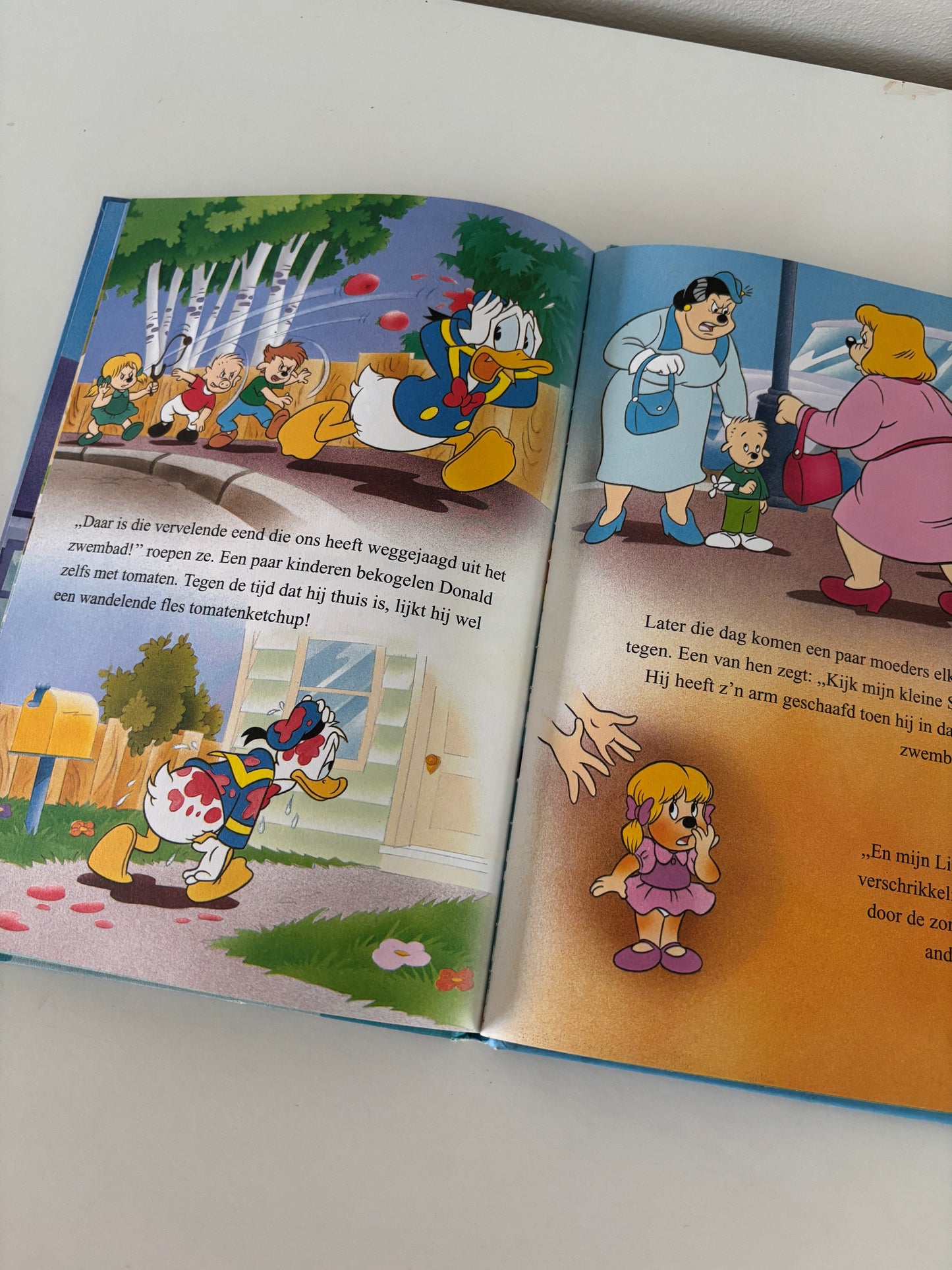 Donald Duck's nieuwe zwembad