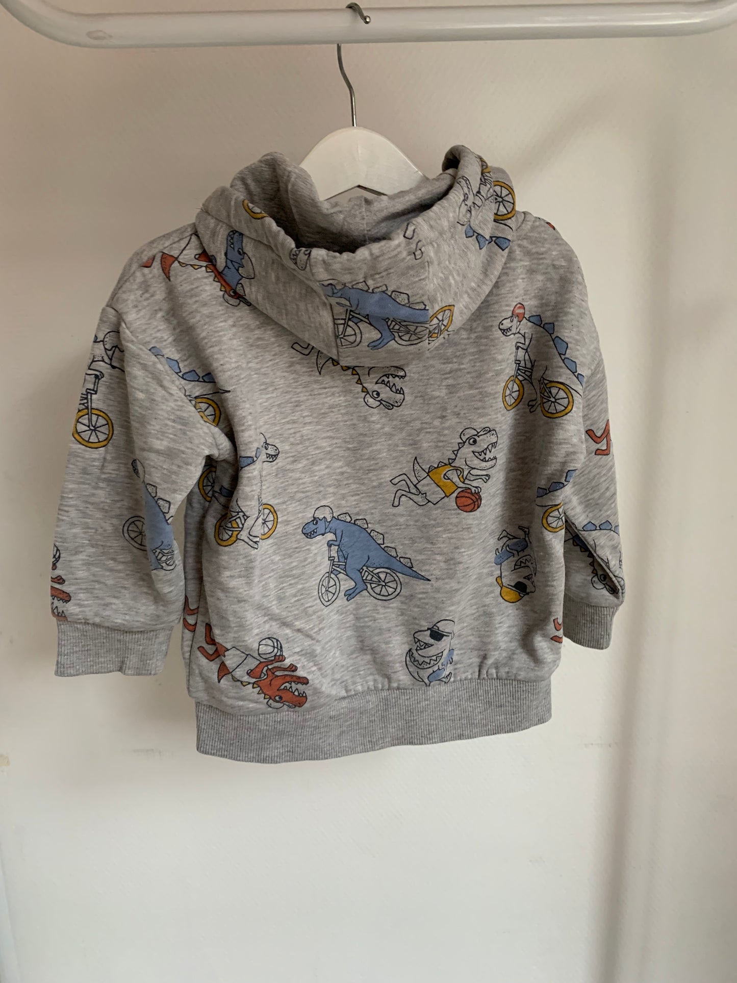Grijze vest met dino's ⚡