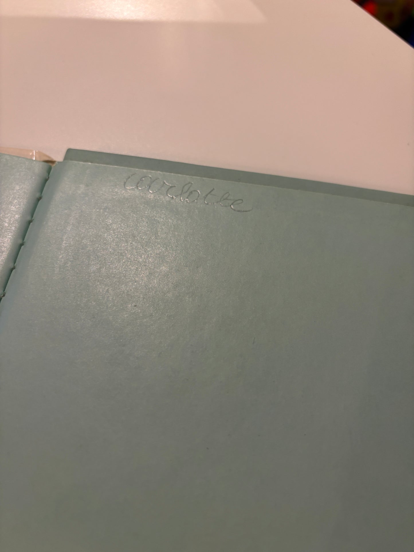 36. Tiny: Poeffie gaat op stap