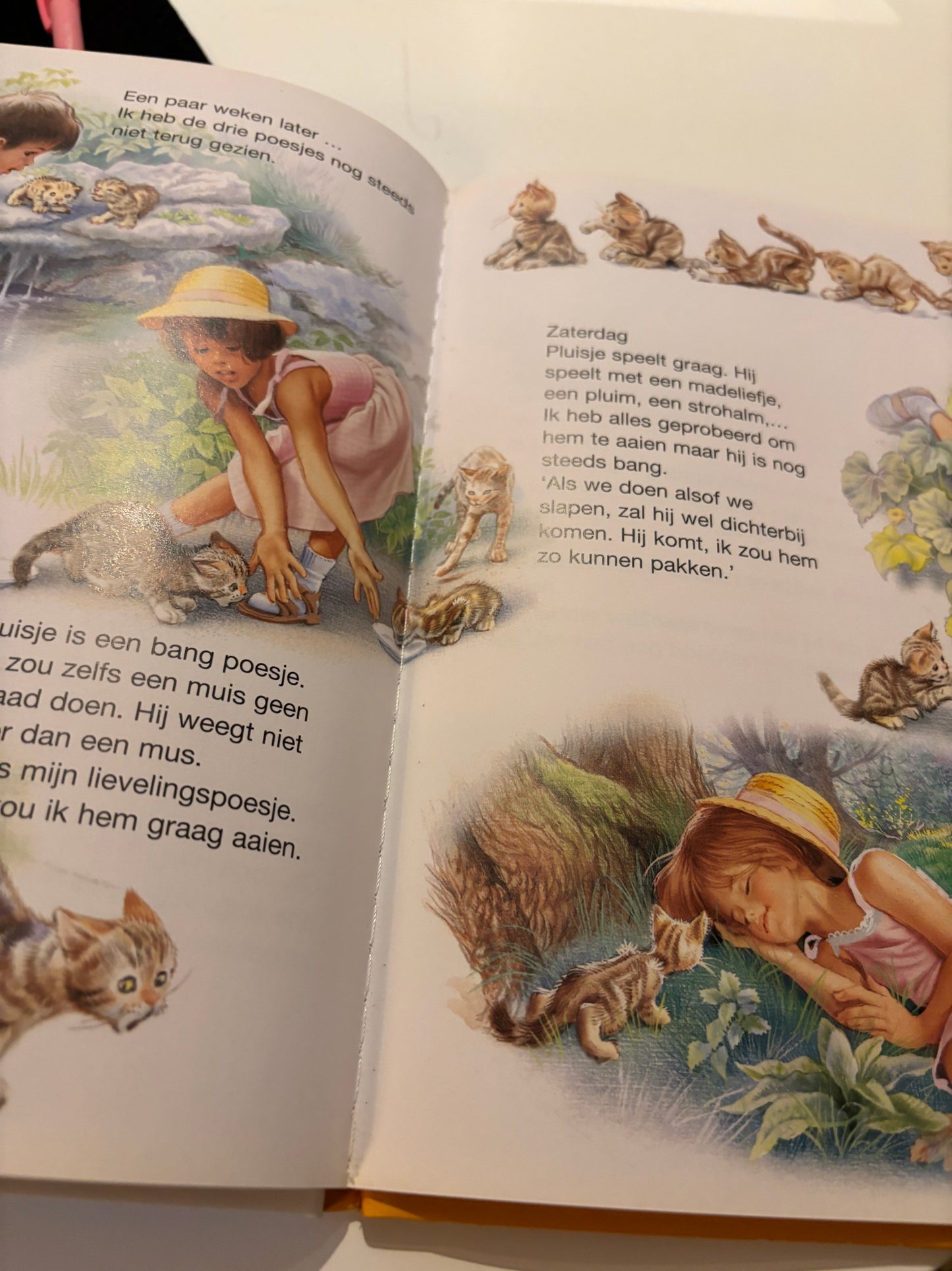 44. Tiny vindt een poes