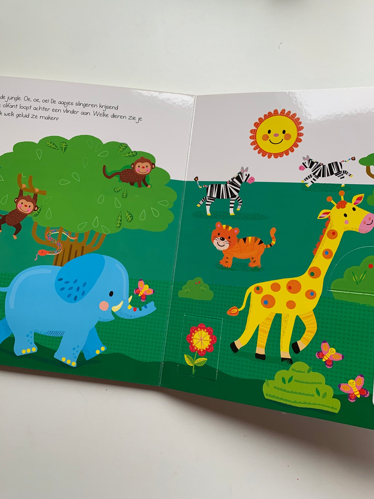 Kijk en zoek: Dieren