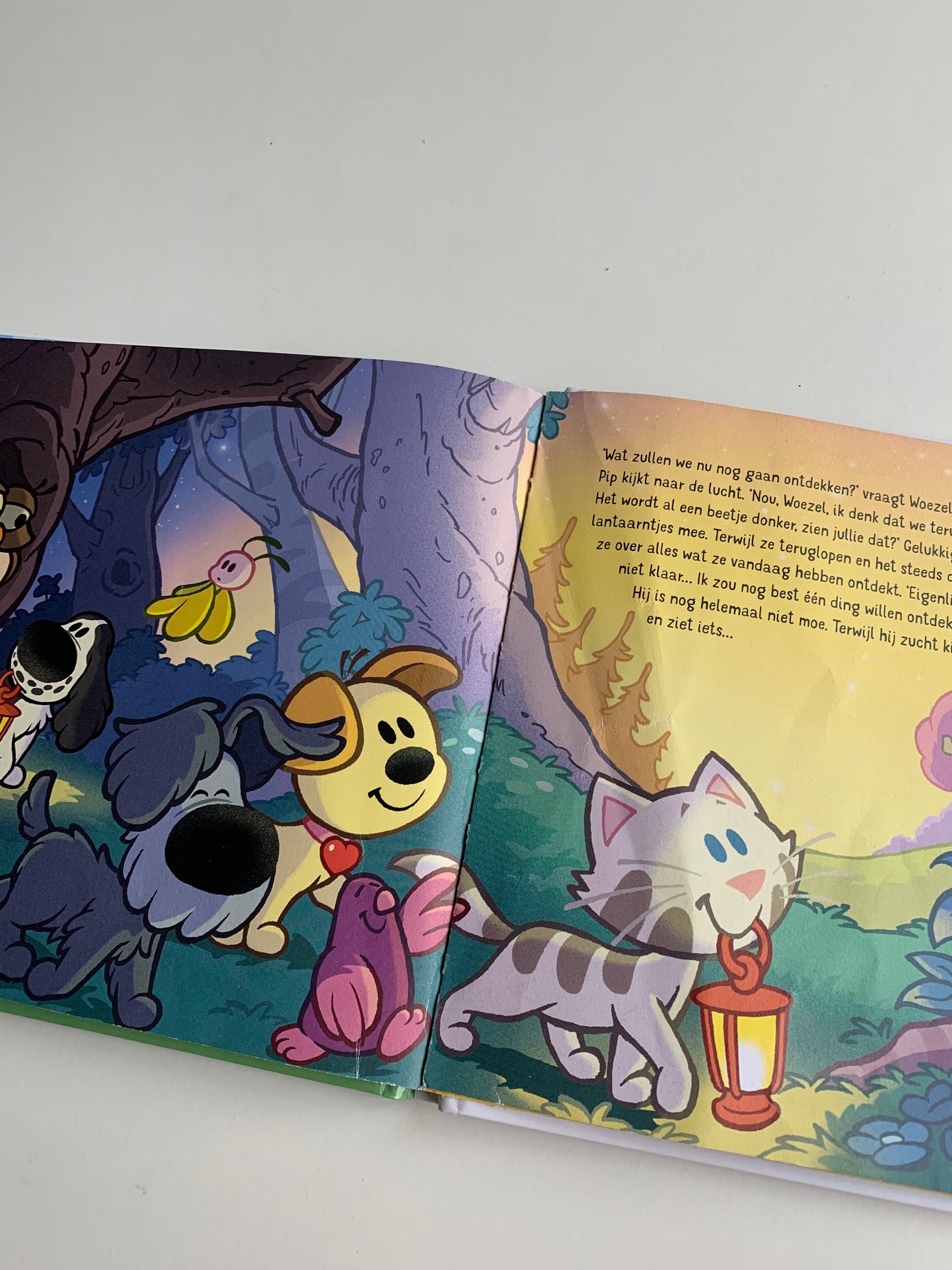 Woezel en Pip - Samen op ontdekking