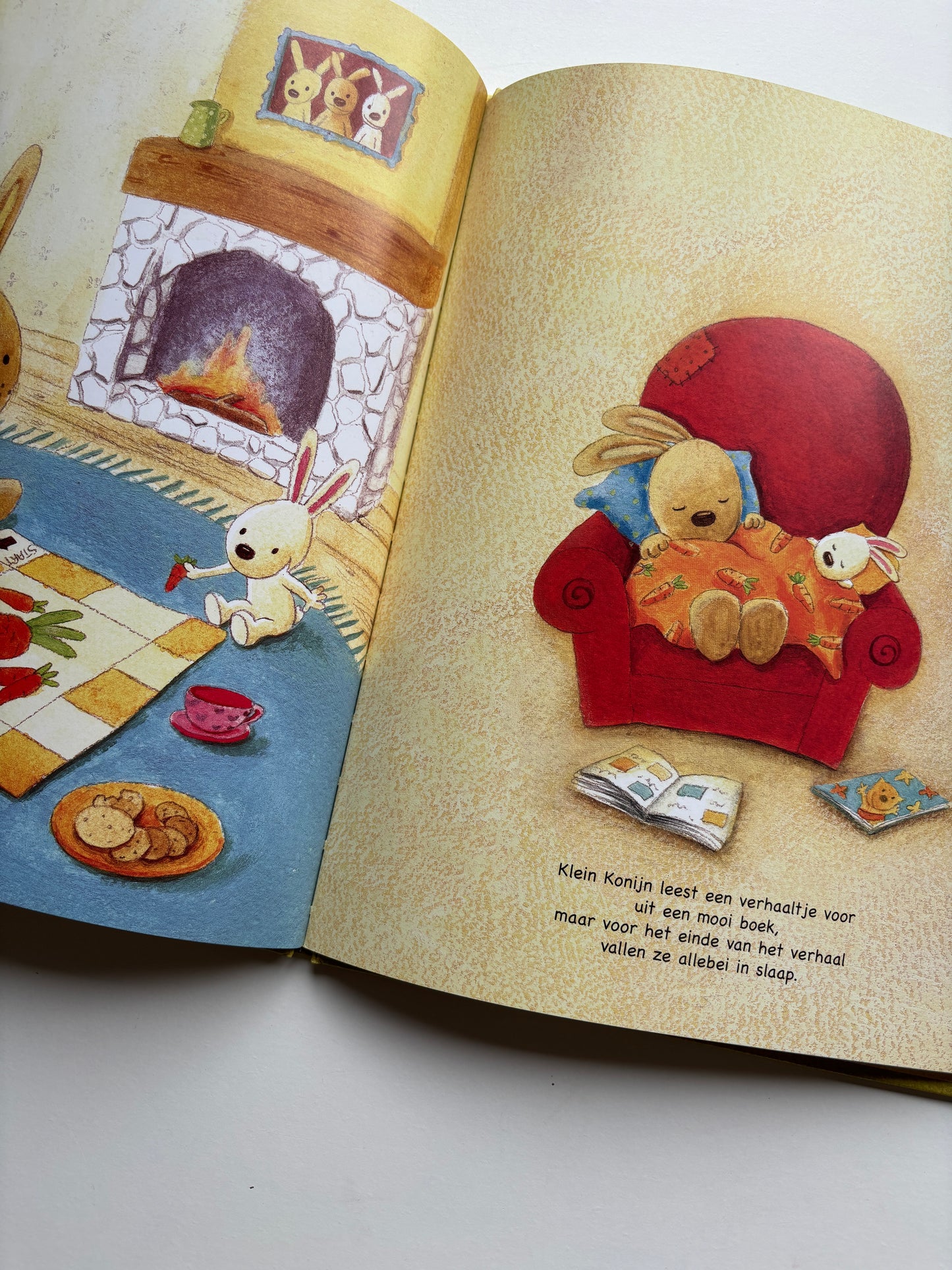 Een grote vriend voor klein konijn