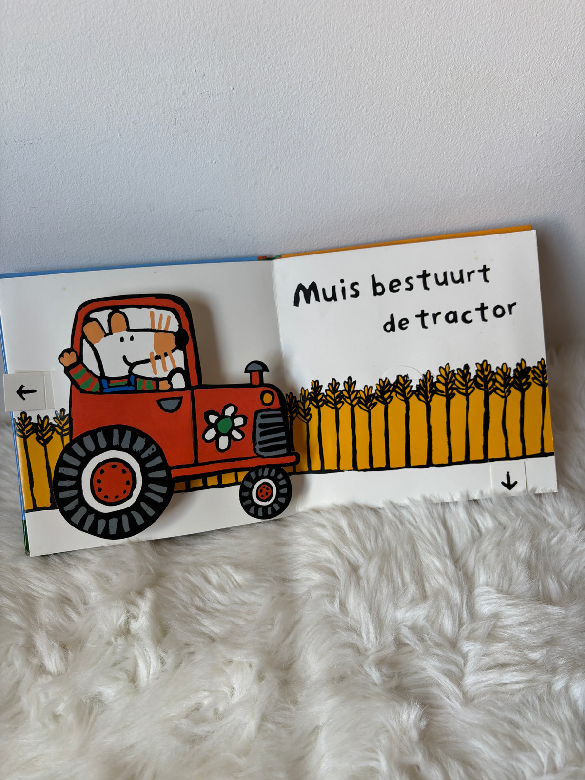 Lucy Cousins - Muis op de boerderij