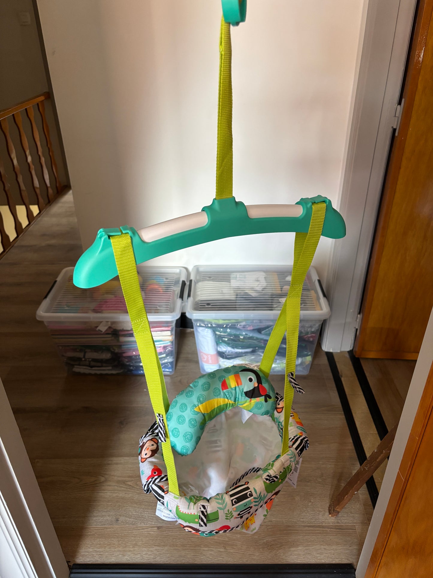 Zig Zag Zebra Door Jumper