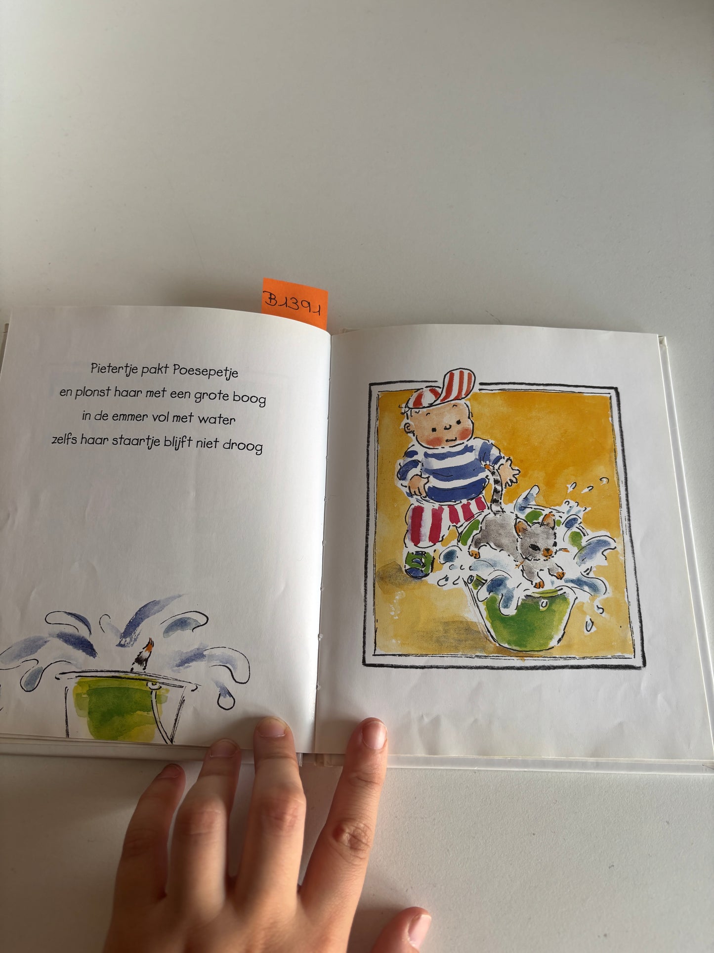 Pietertje Pet - Opruimen