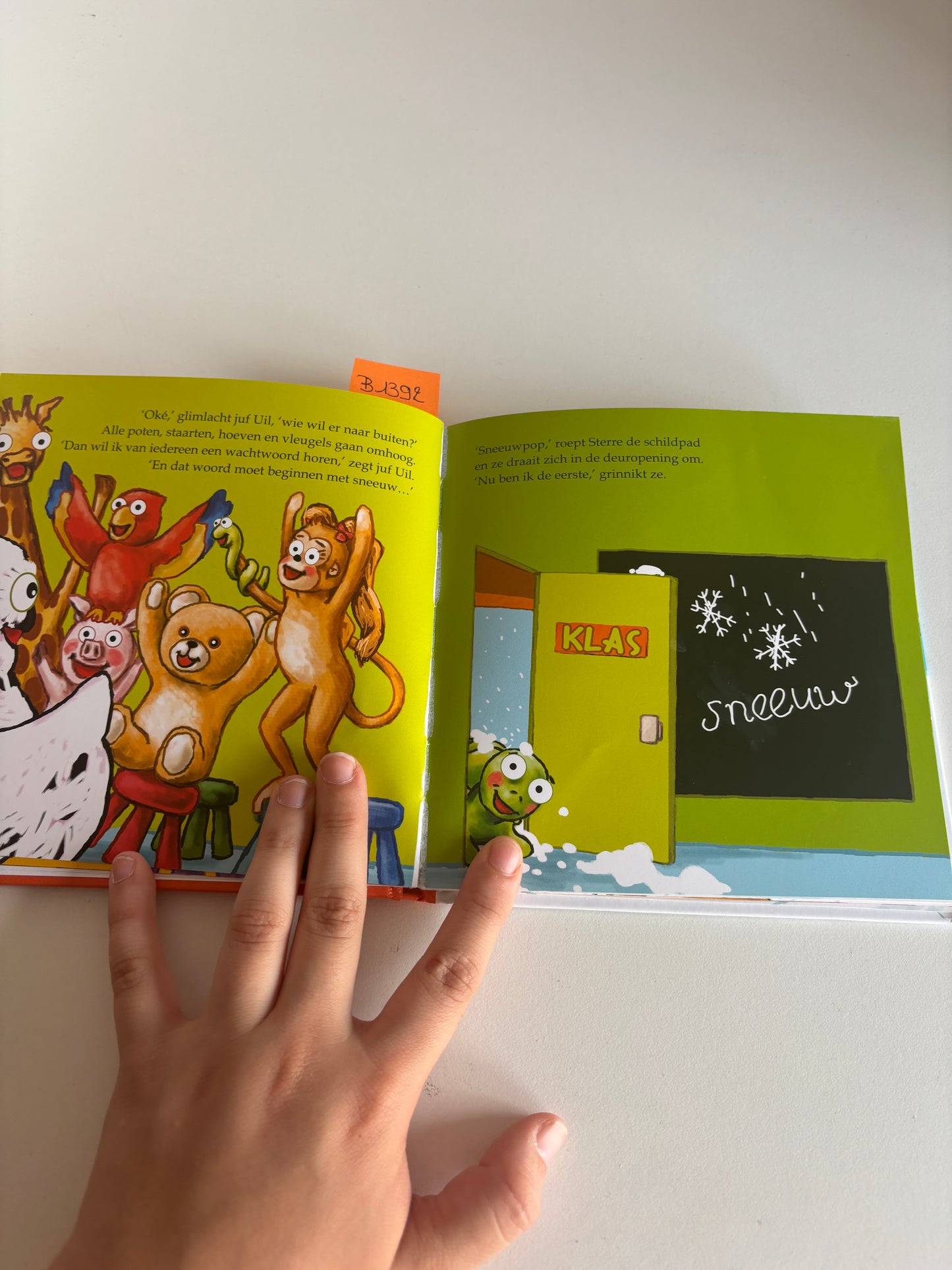 Sneeuwpret met robijntje