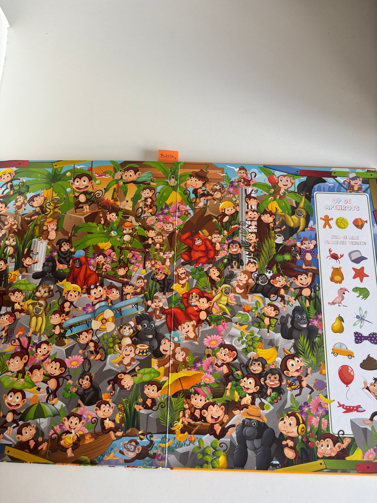 Het grote zoekboek voor kleine speurders