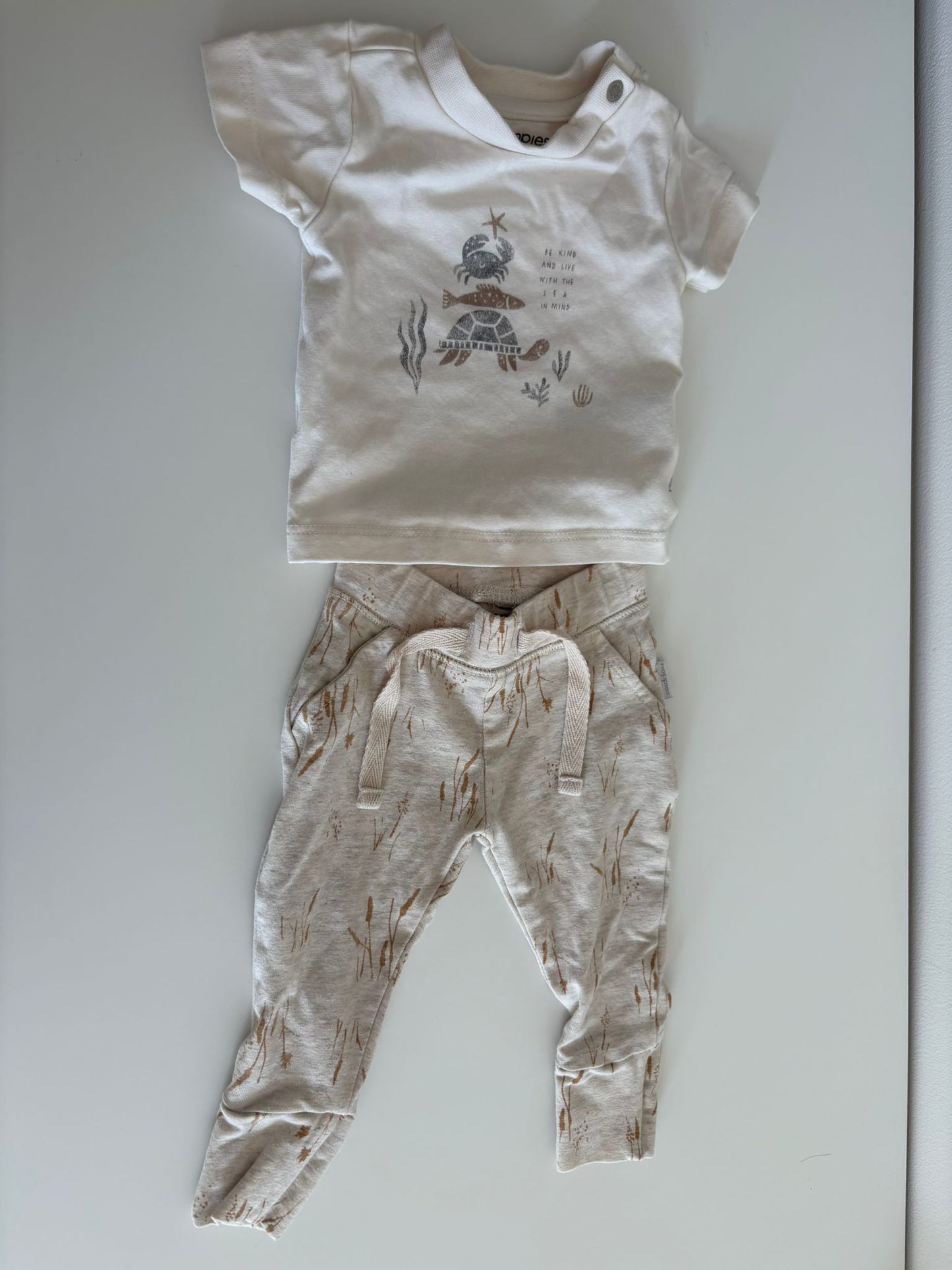 Setje met zeediertjes