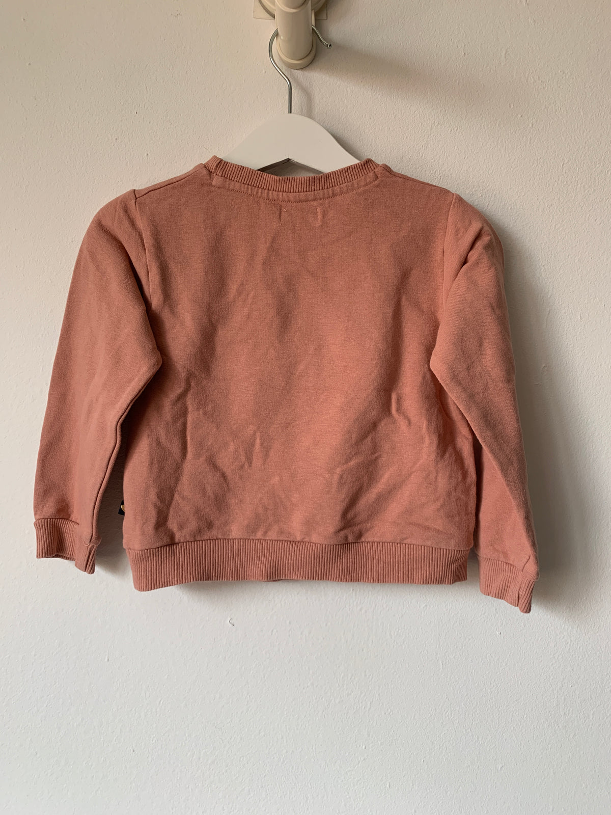 Roze sweatshirt | Dirkje | 92