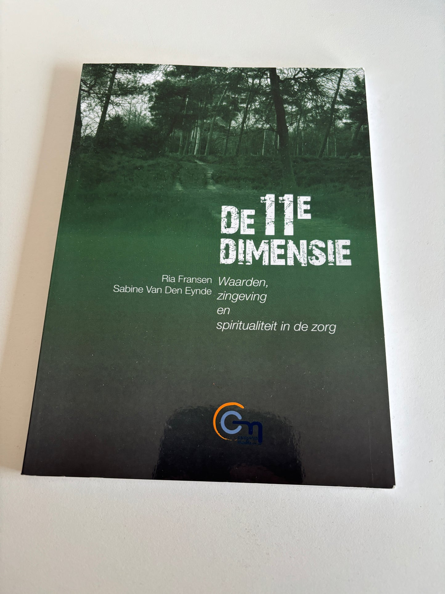 De 11e dimensie: waarden, zingeving en spiritualiteit in de zorg