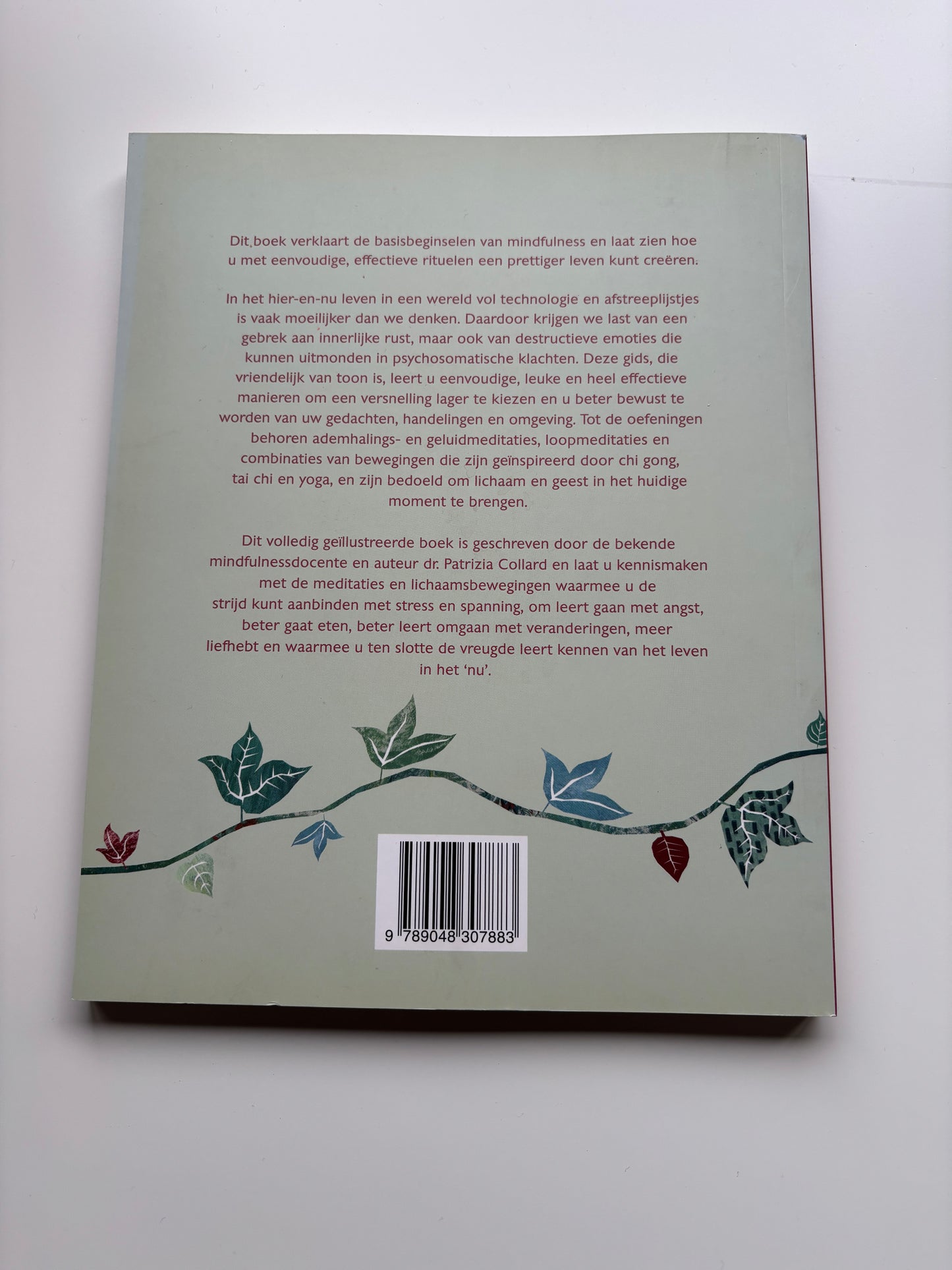 Patrizia Collard - Reis naar mindfulness