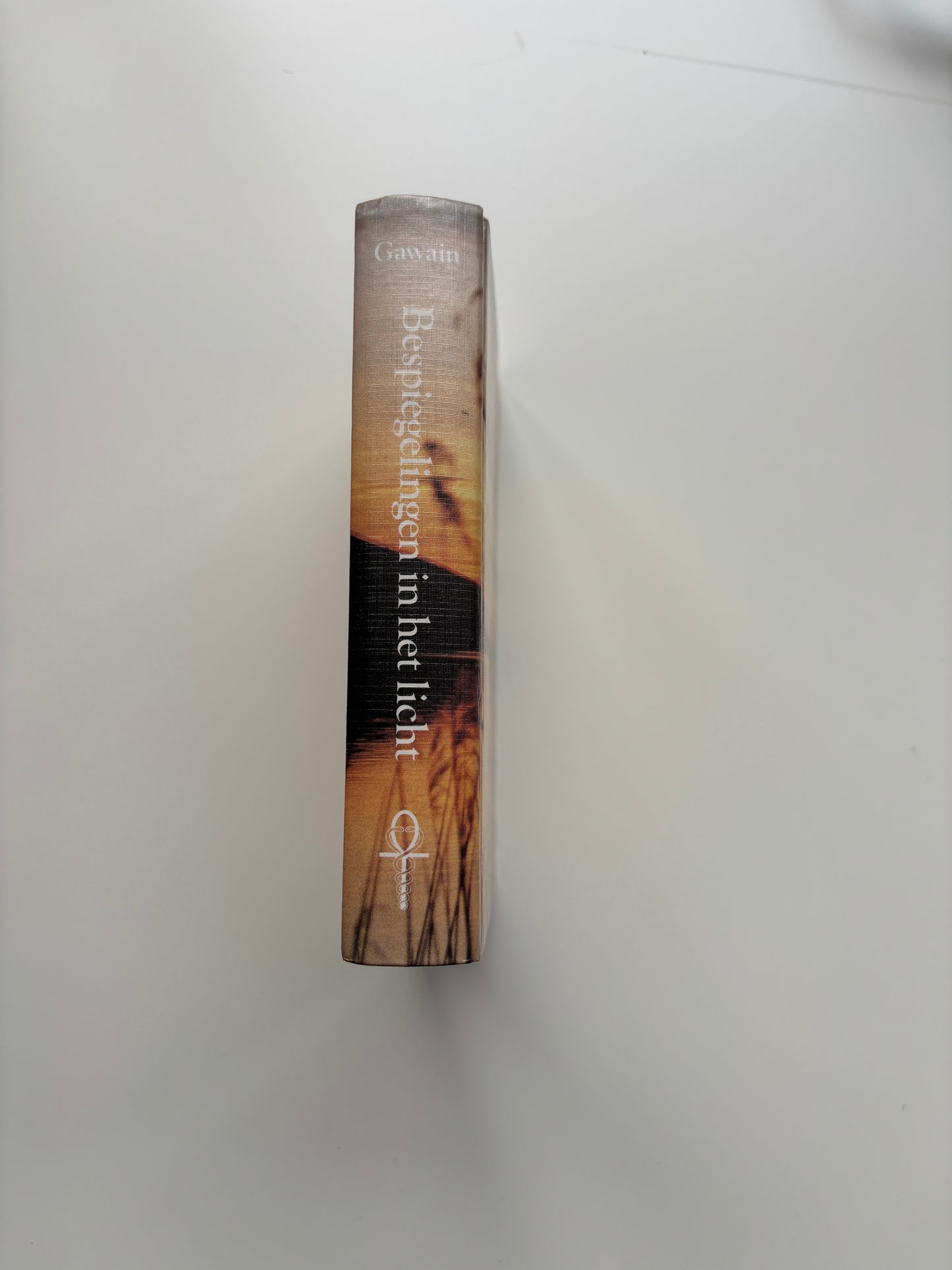 Shakti Gawain - Bespiegelingen in het licht