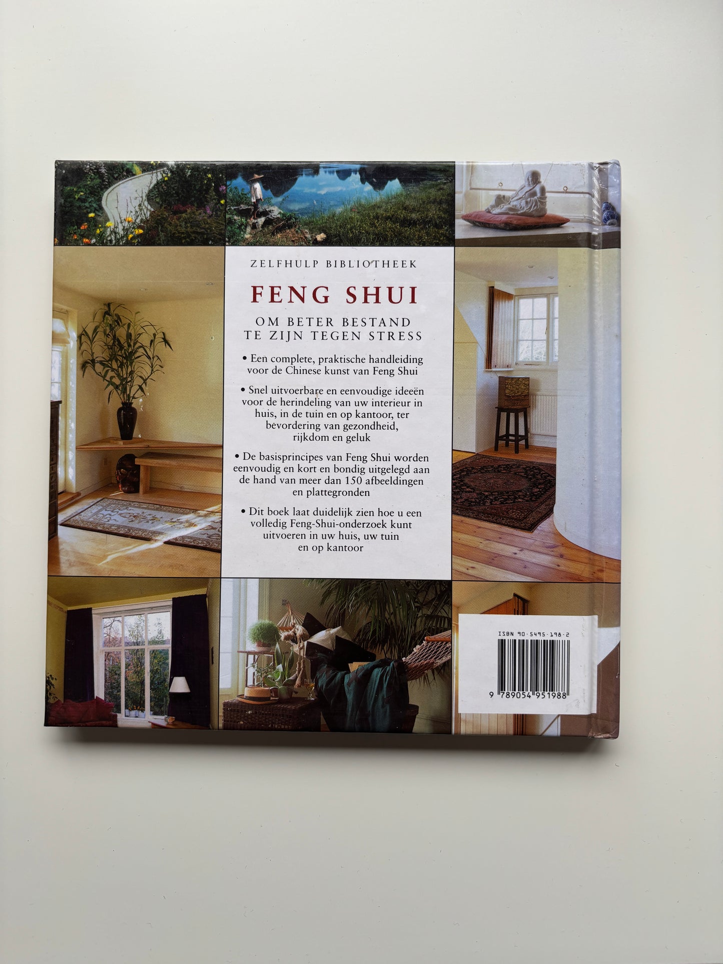 Richard Craze - Feng Shui