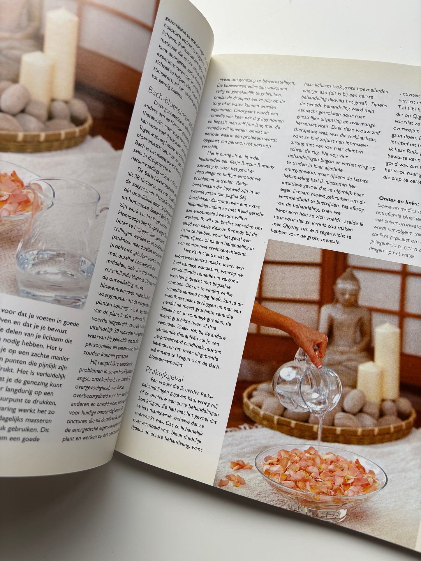 Eleanor Mckenzie - Reiki als helende energie