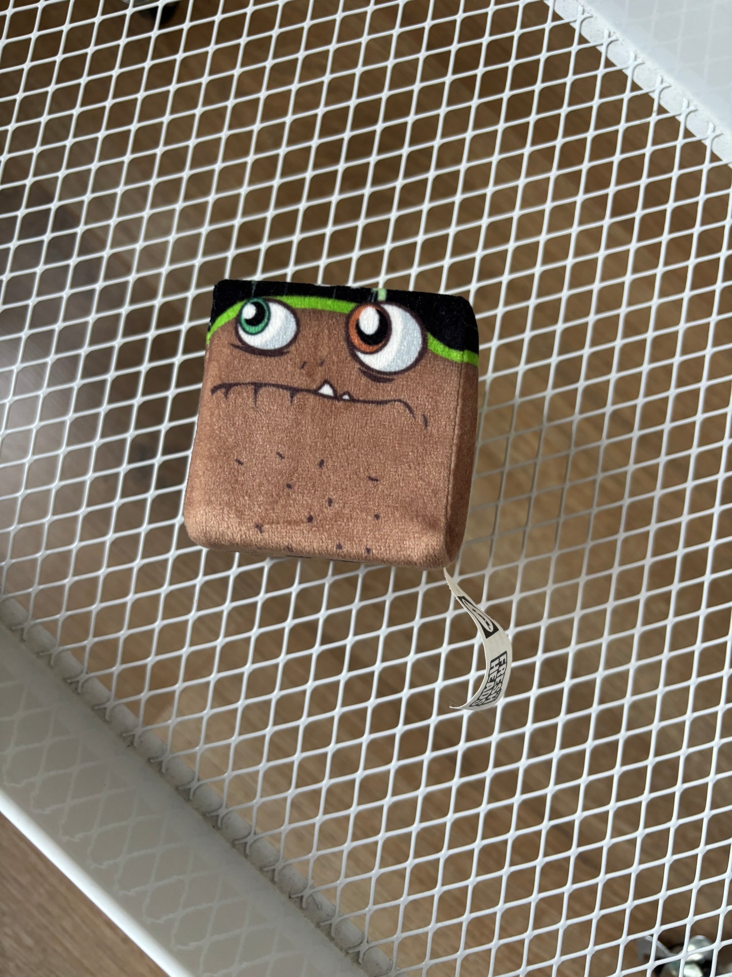 The fresh heads kubussen