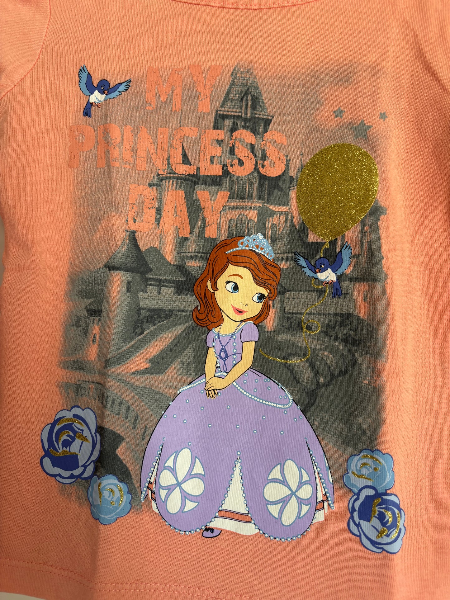 Longsleeve Sofia The First