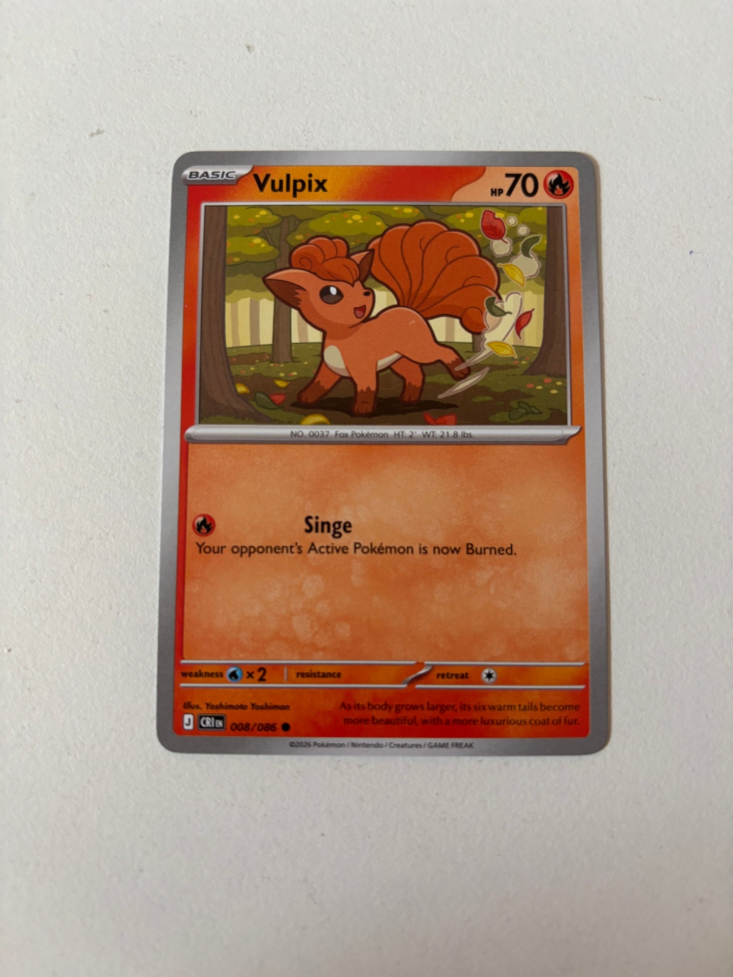 Vulpix CRI 008
