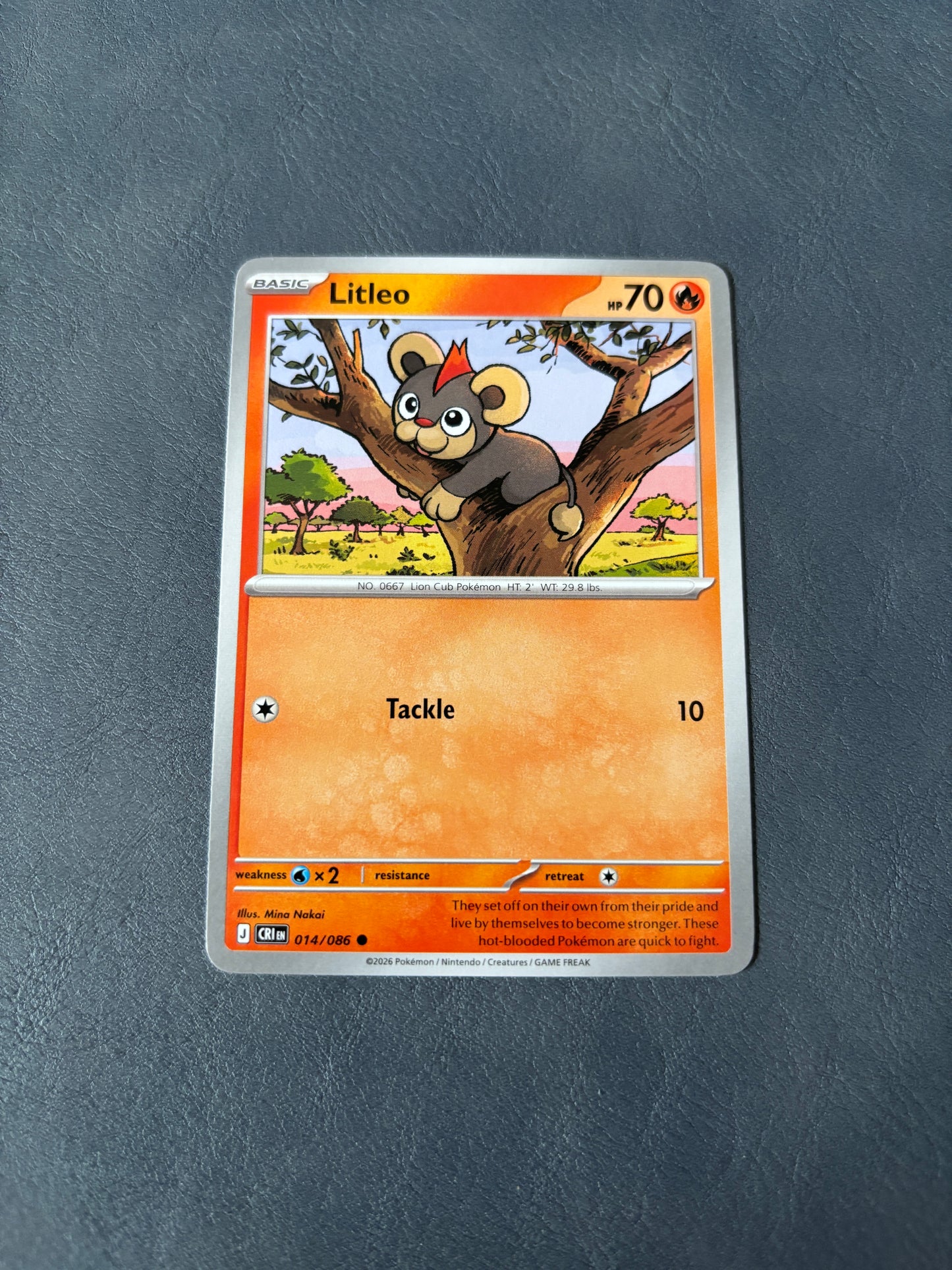 Litleo CRI 014