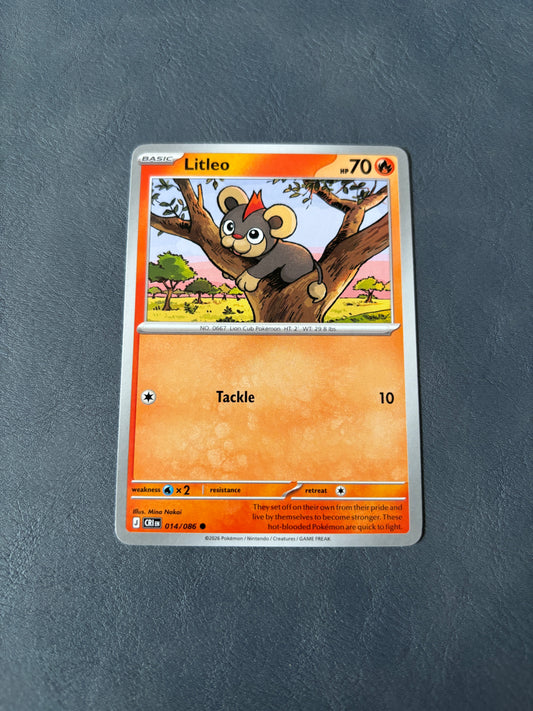 Litleo CRI 014