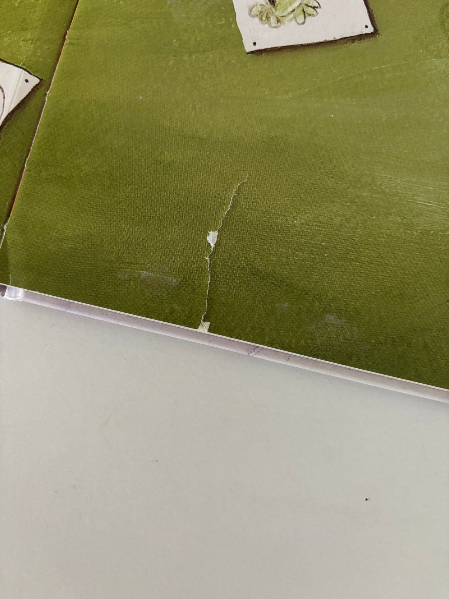 An Melis - Een dos met een geheim