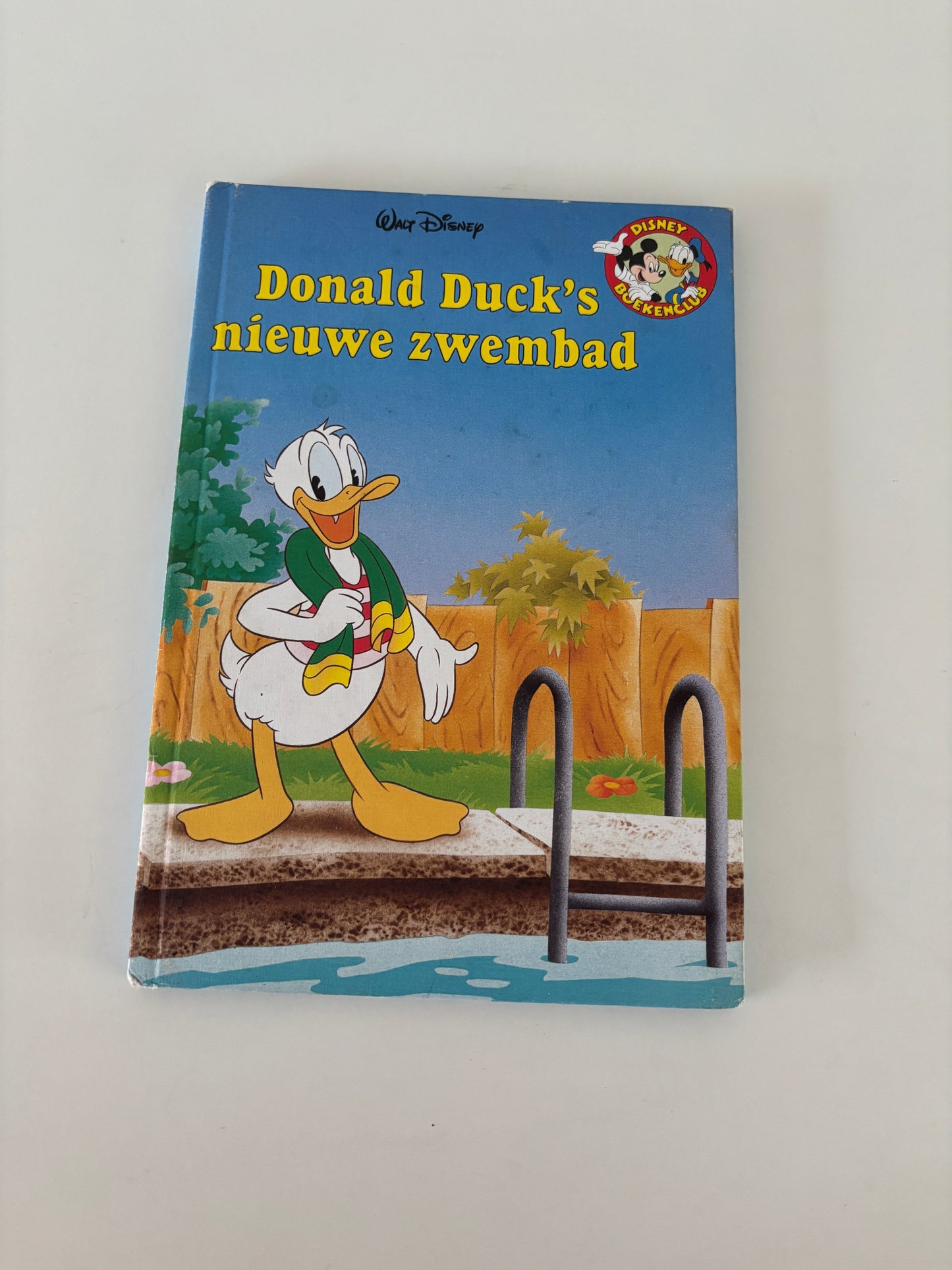 Donald Duck's nieuwe zwembad