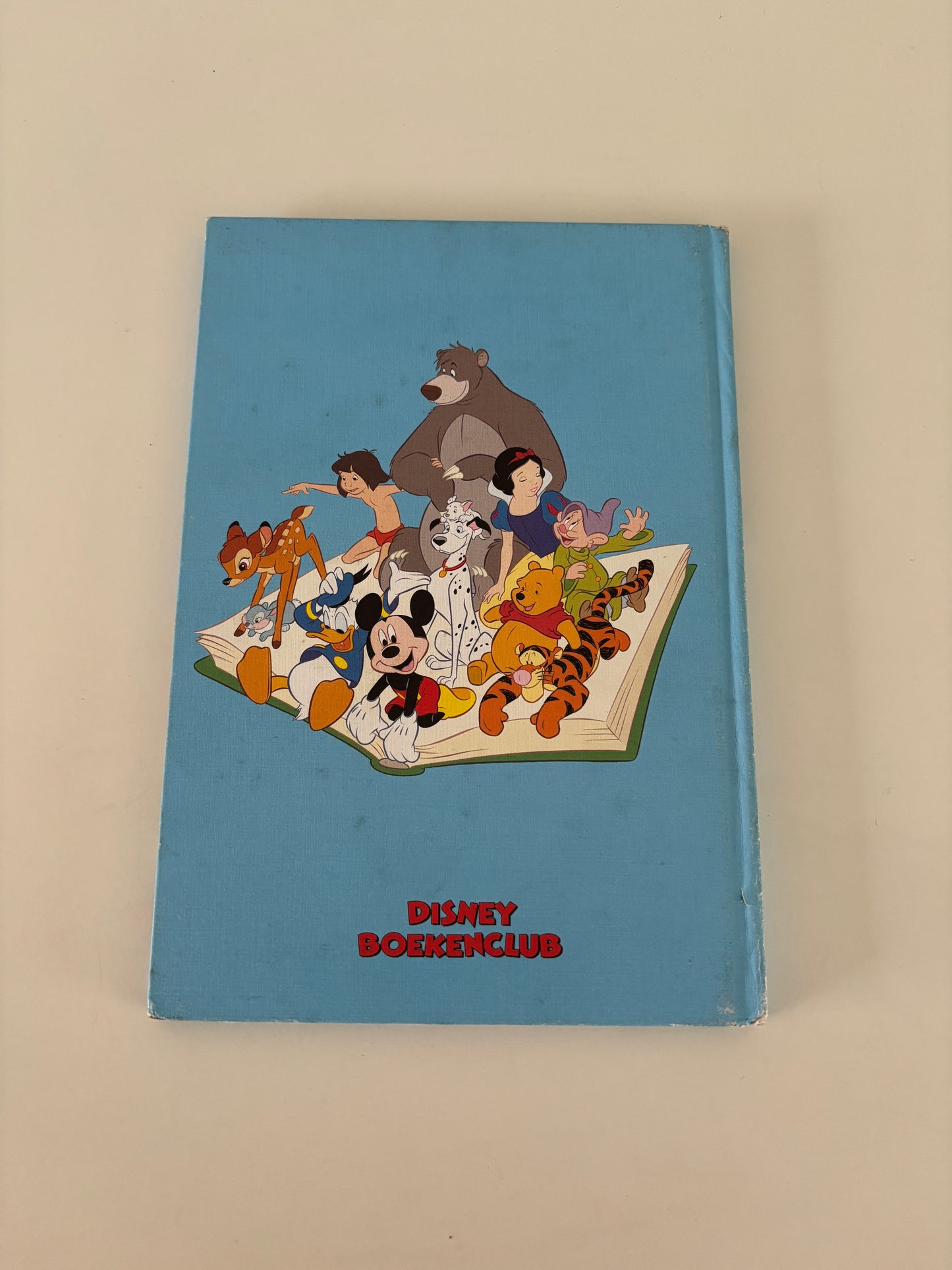 Donald Duck's nieuwe zwembad