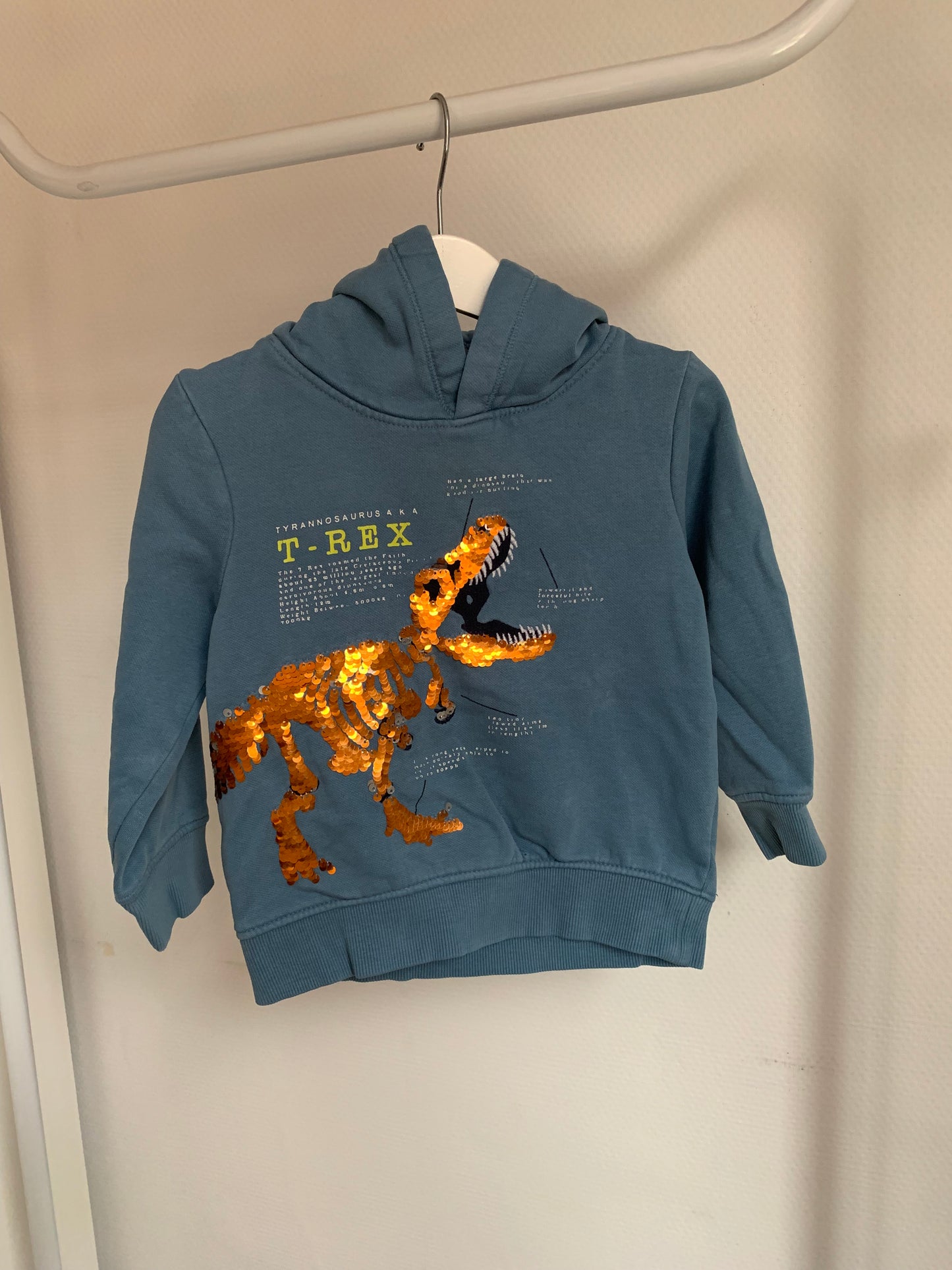 Blauwe sweater met dino ⚡