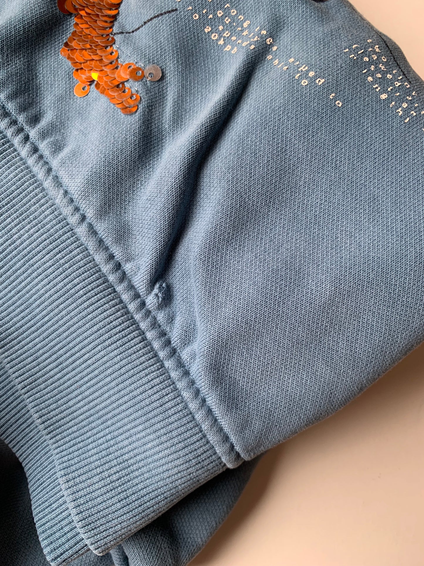 Blauwe sweater met dino ⚡