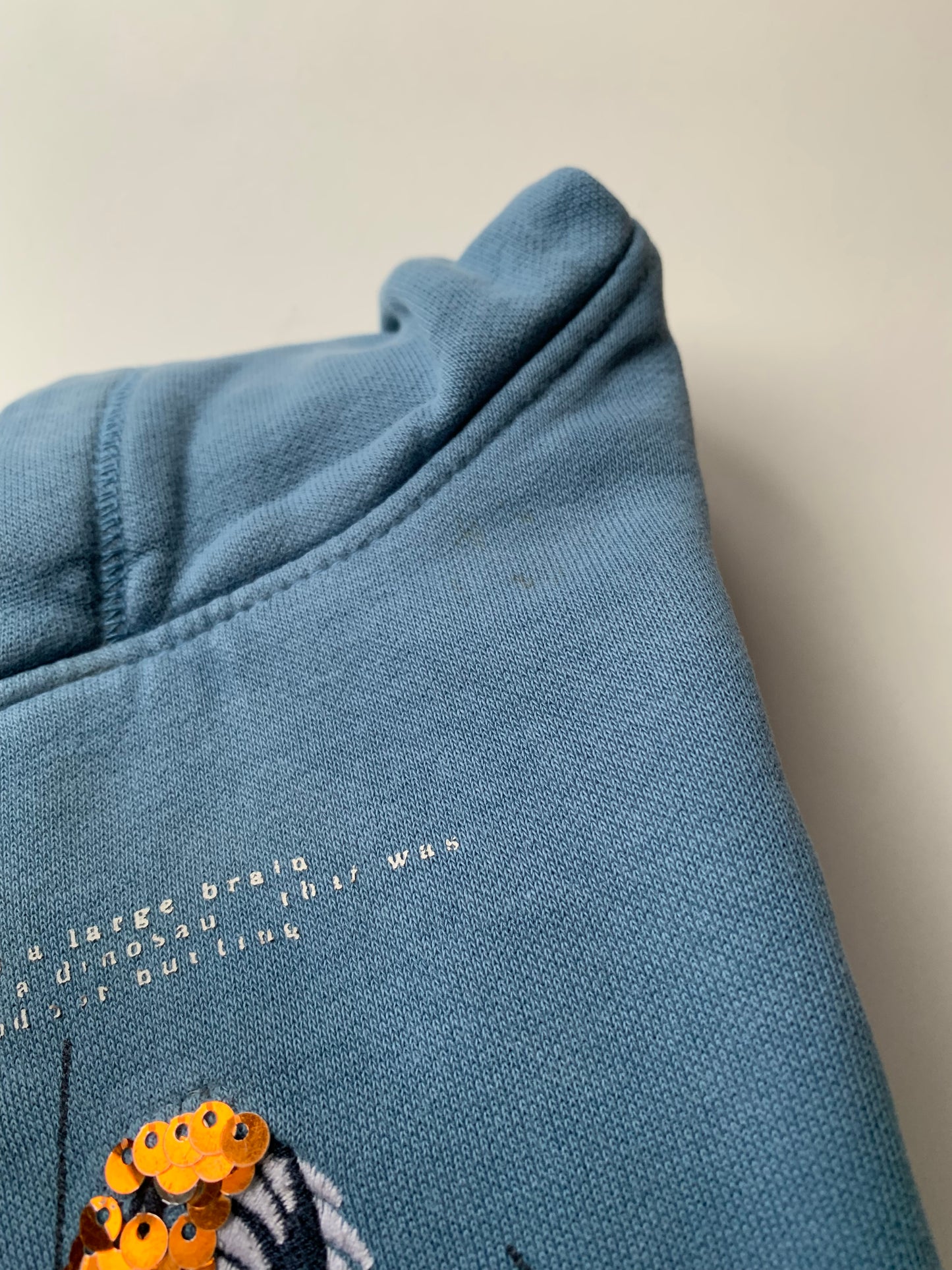 Blauwe sweater met dino ⚡