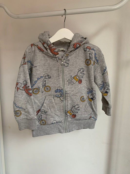Grijze vest met dino's ⚡