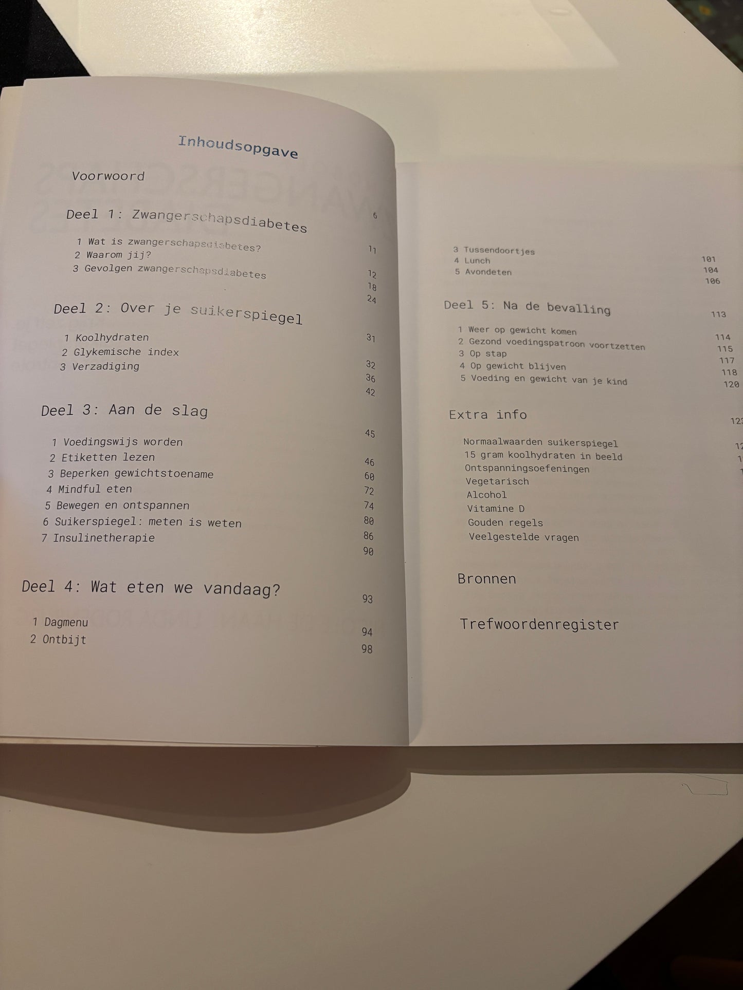 Nicole De Haan & Linda Rodenburg - Handboek zwangerschapsdiabetes