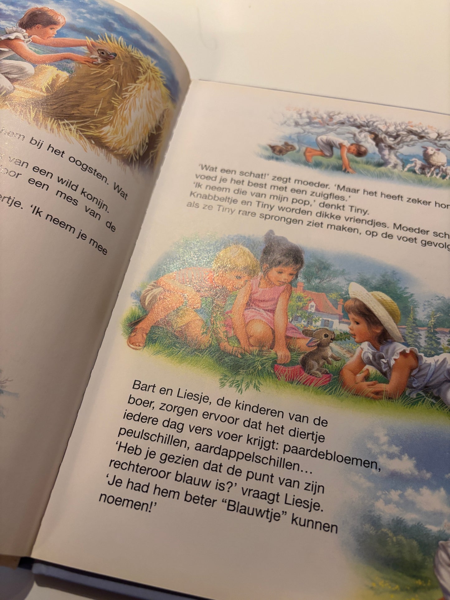 37. Tiny in de natuur