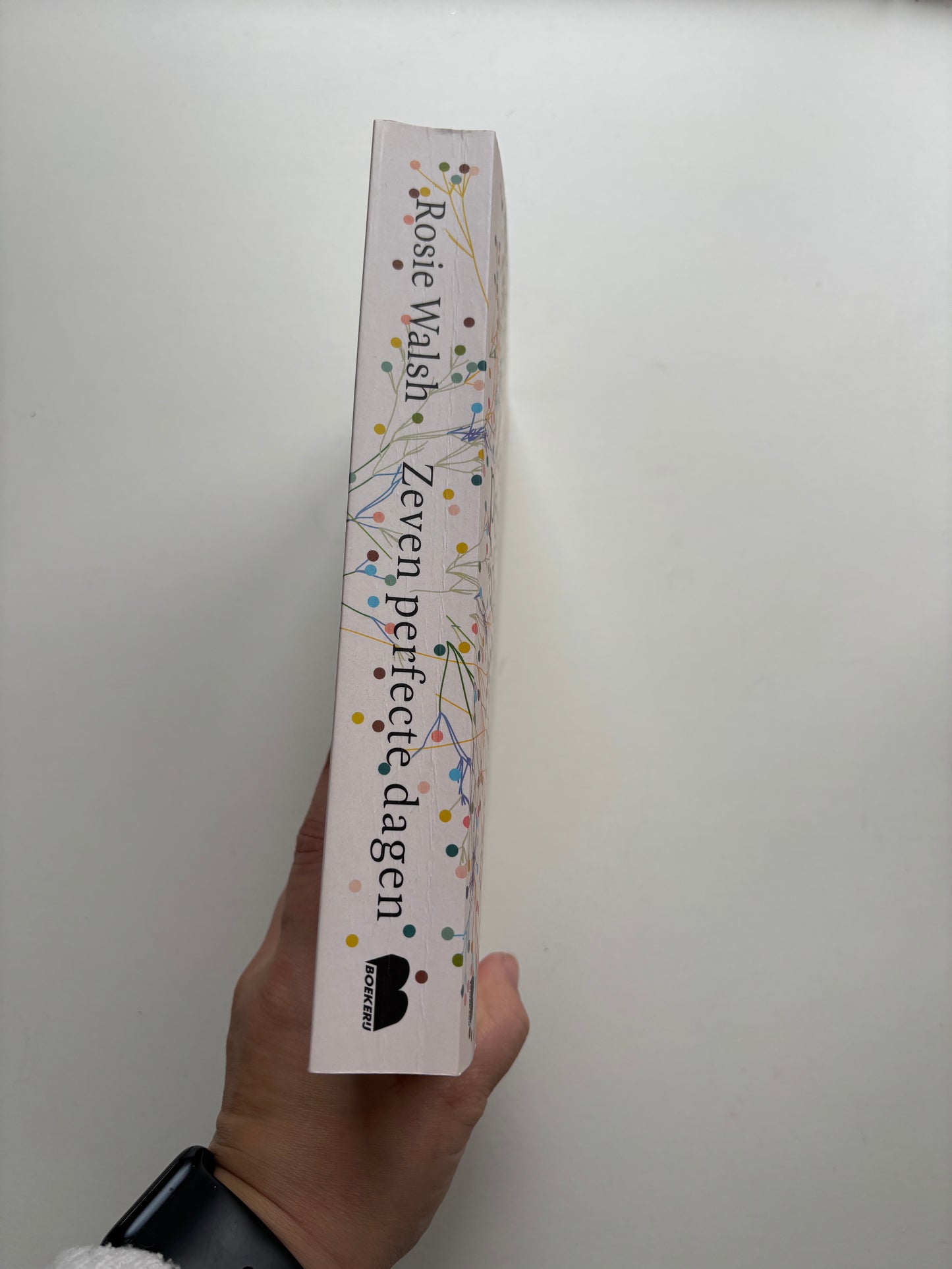 Rosie Walsh - Zeven perfecte dagen