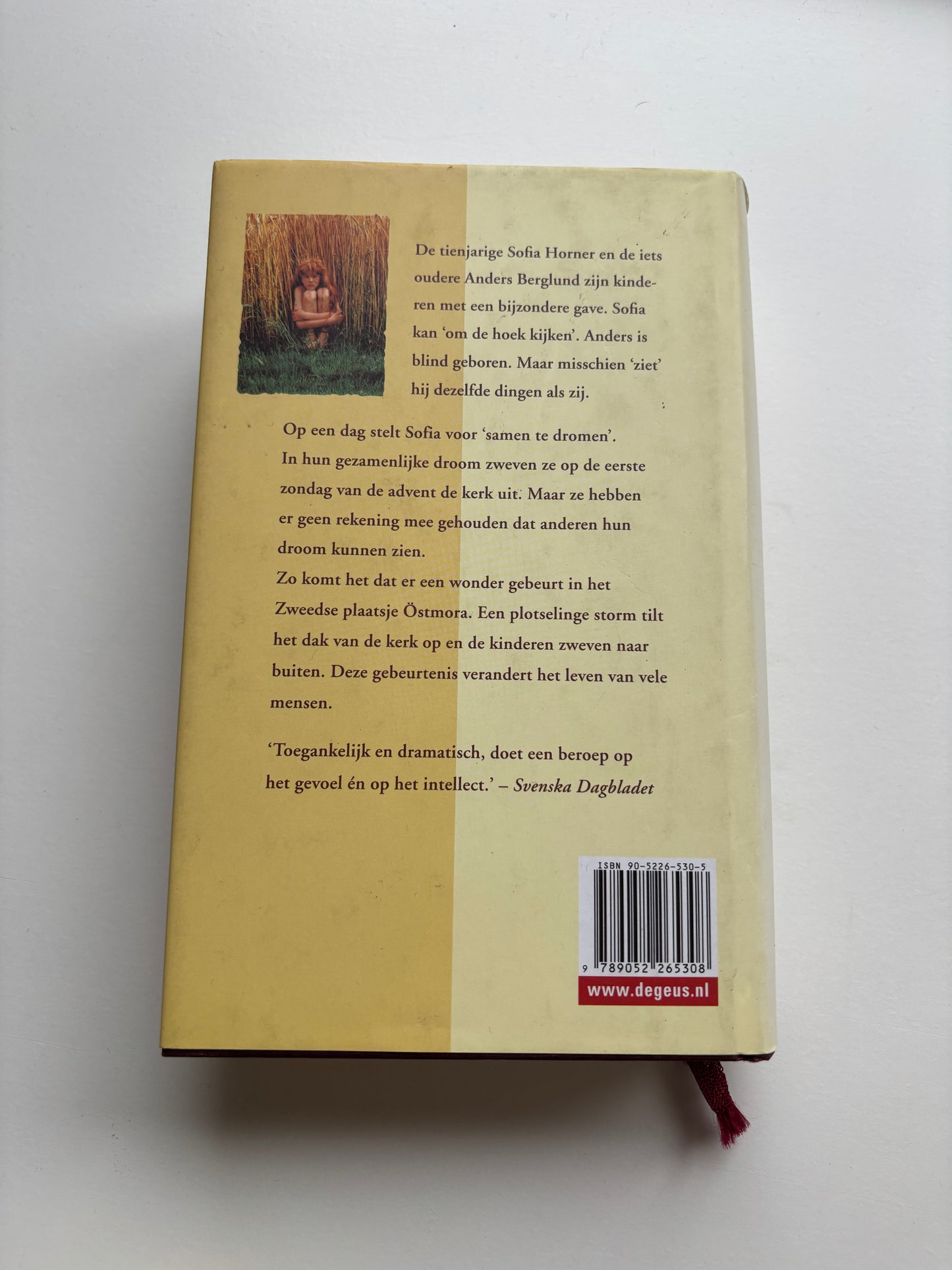 Marianne Frederiksson - Het zesde zintuig