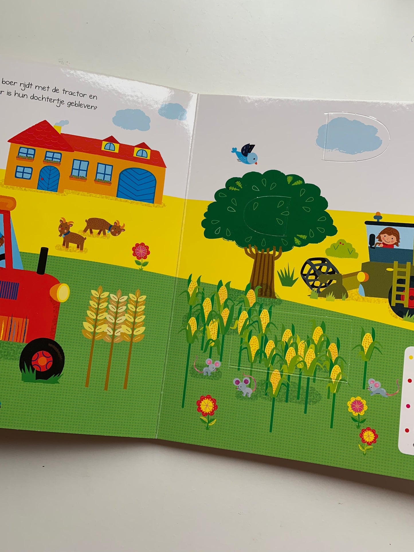 Kijk en zoek: Boerderij