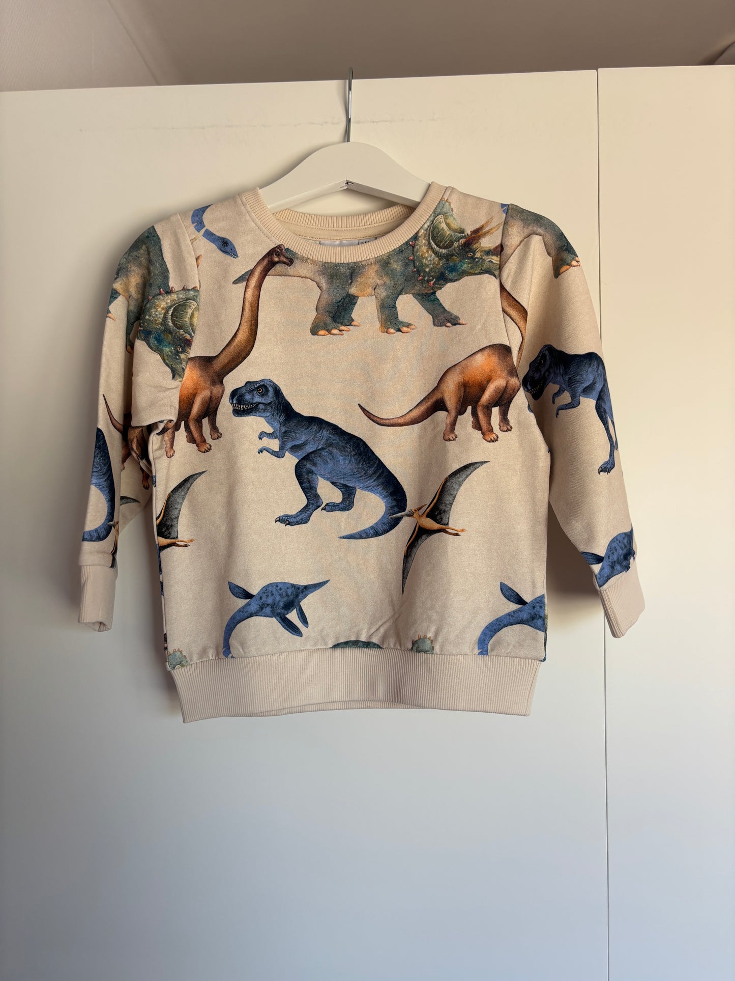 Dinosweater