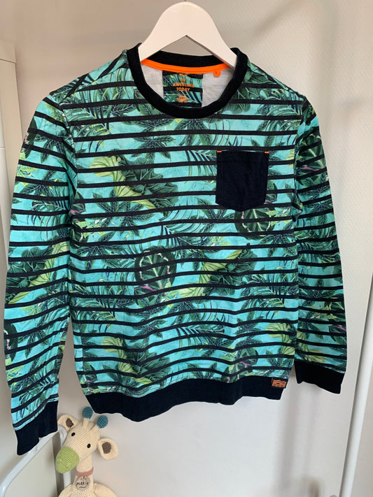 Lichtblauwe gestreepte sweatshirt