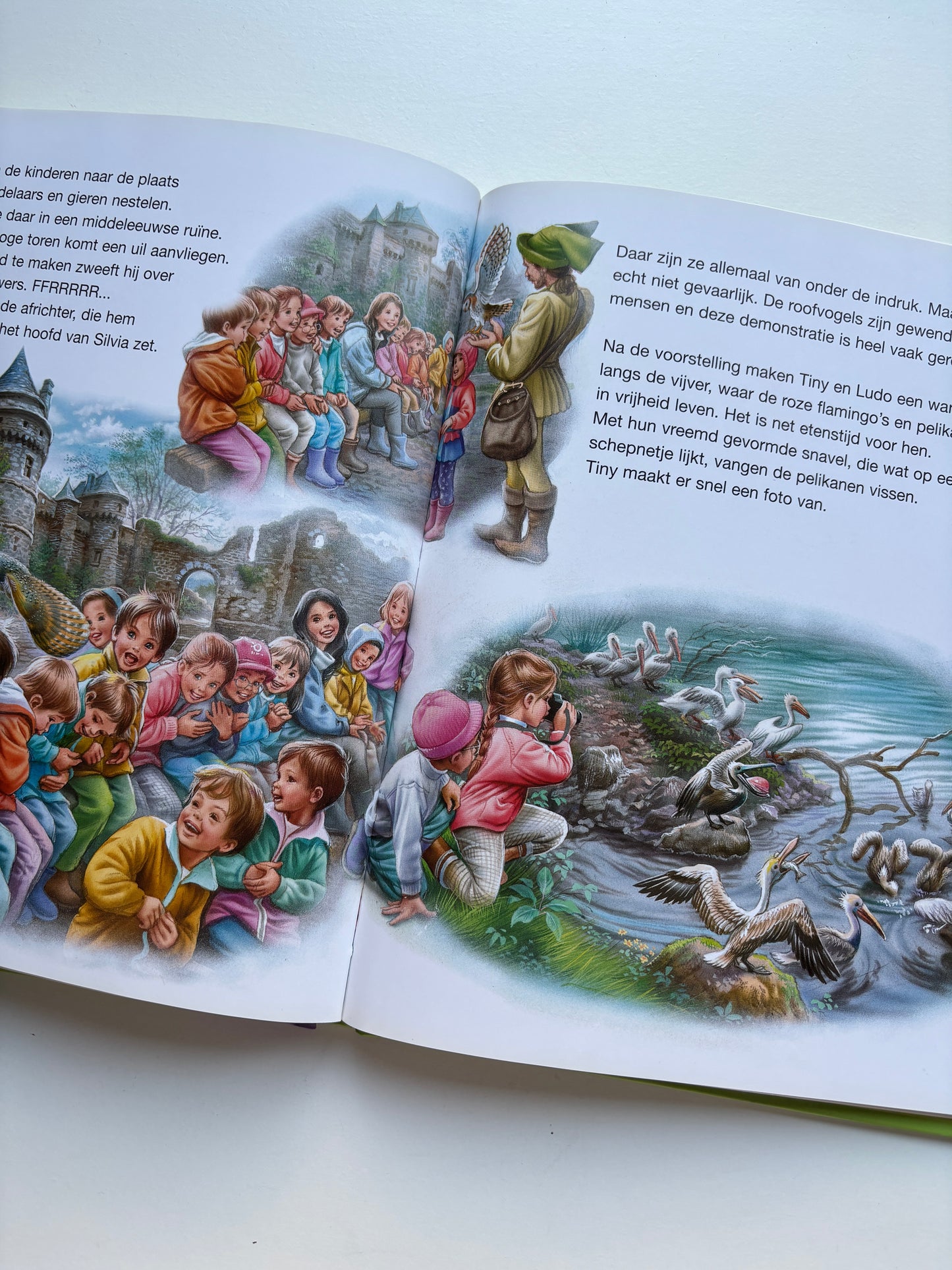 Tiny - 10. Integraal (5 verhalen)