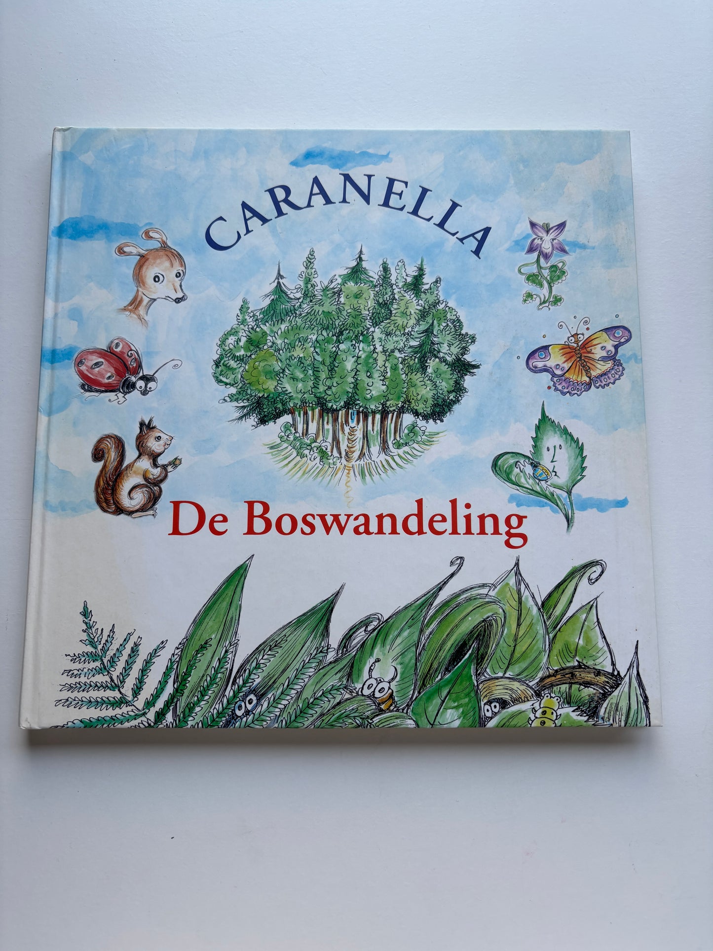 De boswandeling