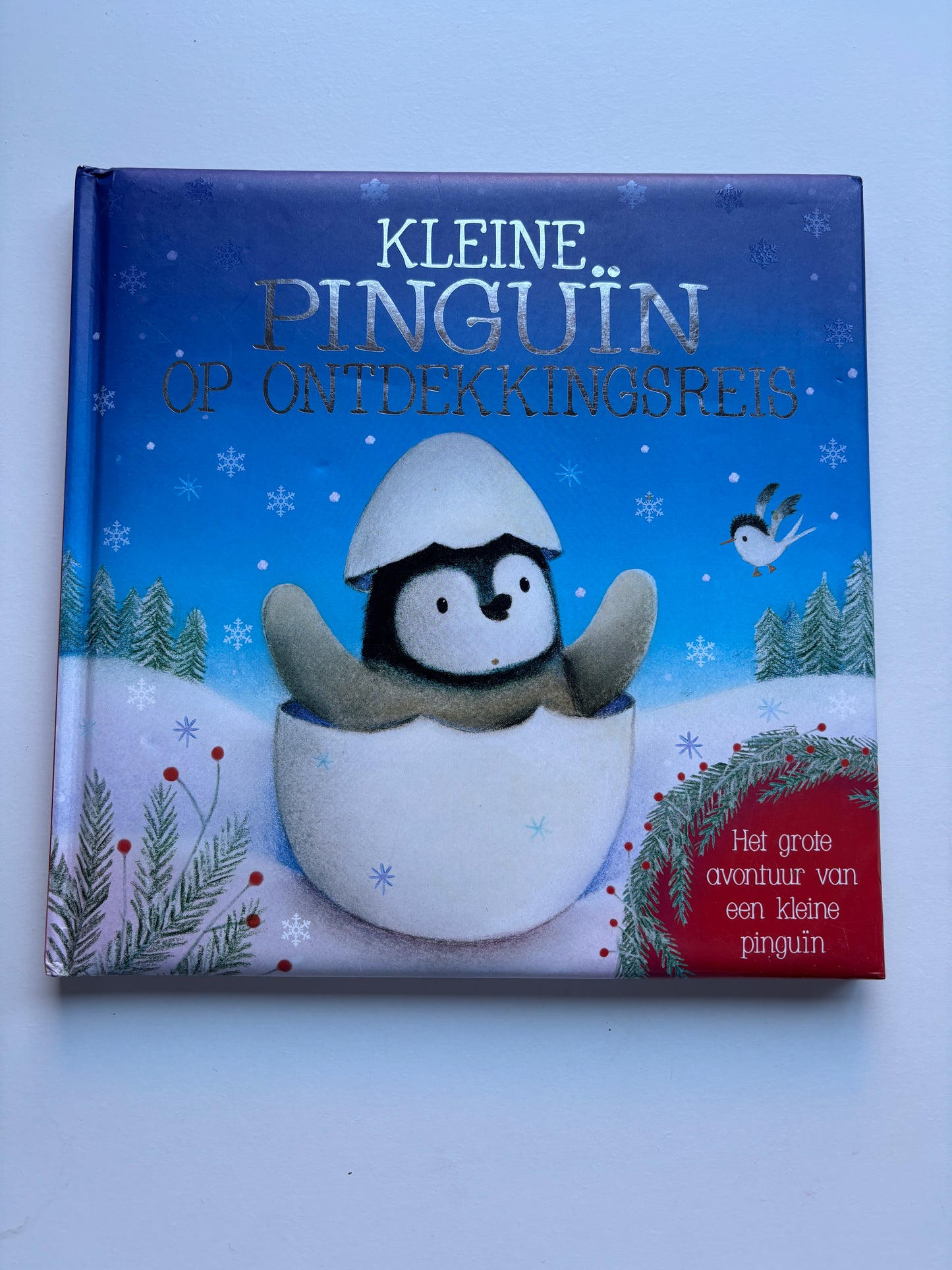 Kleine pinguïn op ontdekkingsreis