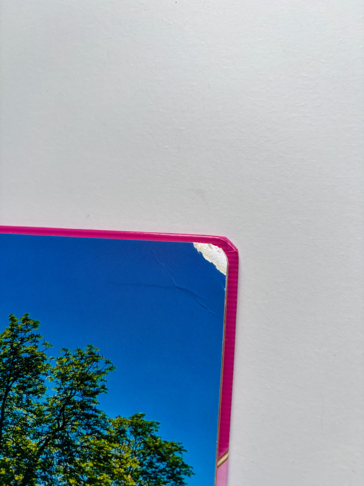 Prinsessia - magneetboek