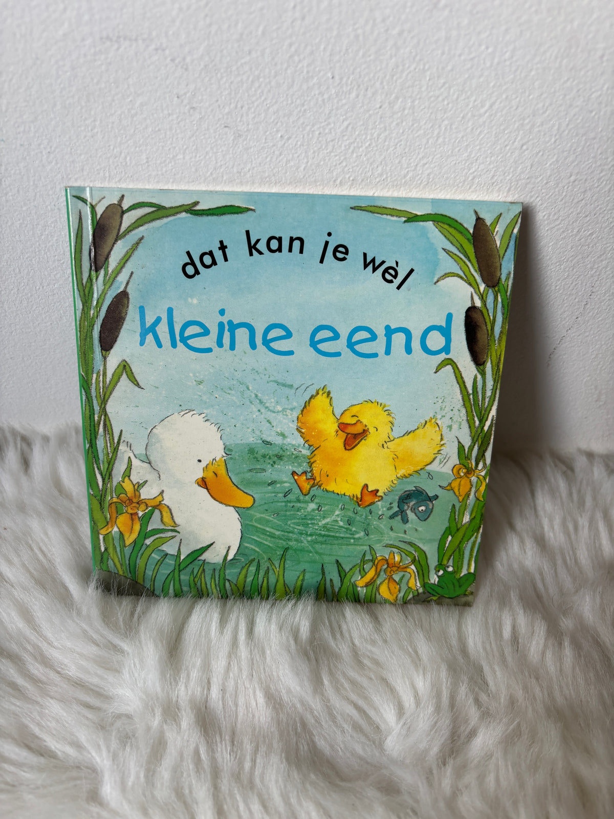 Dat kan je wel kleine eend