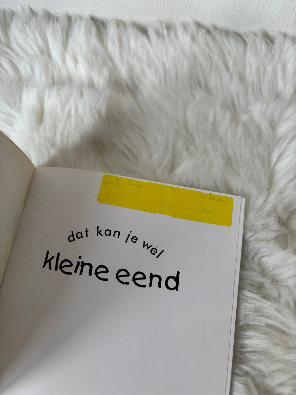 Dat kan je wel kleine eend