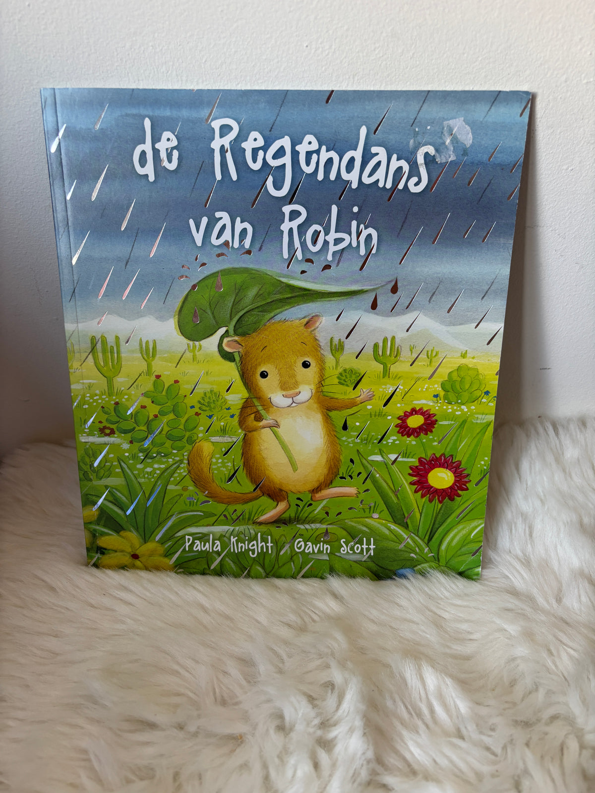 De regendans van Robin