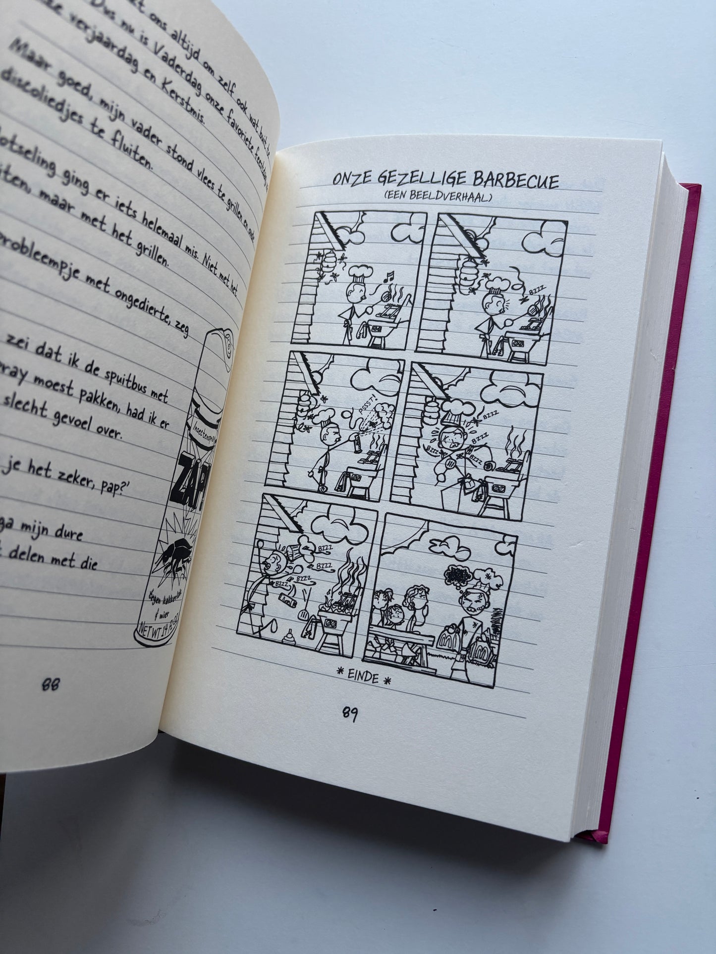 1. Dagboek van een muts